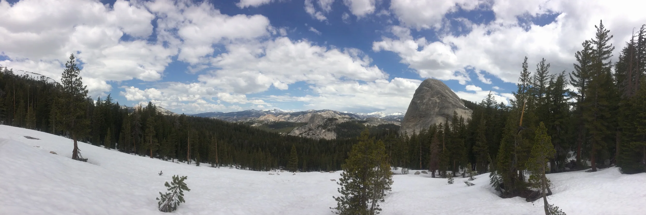 Cathedral Lakes, May 2016