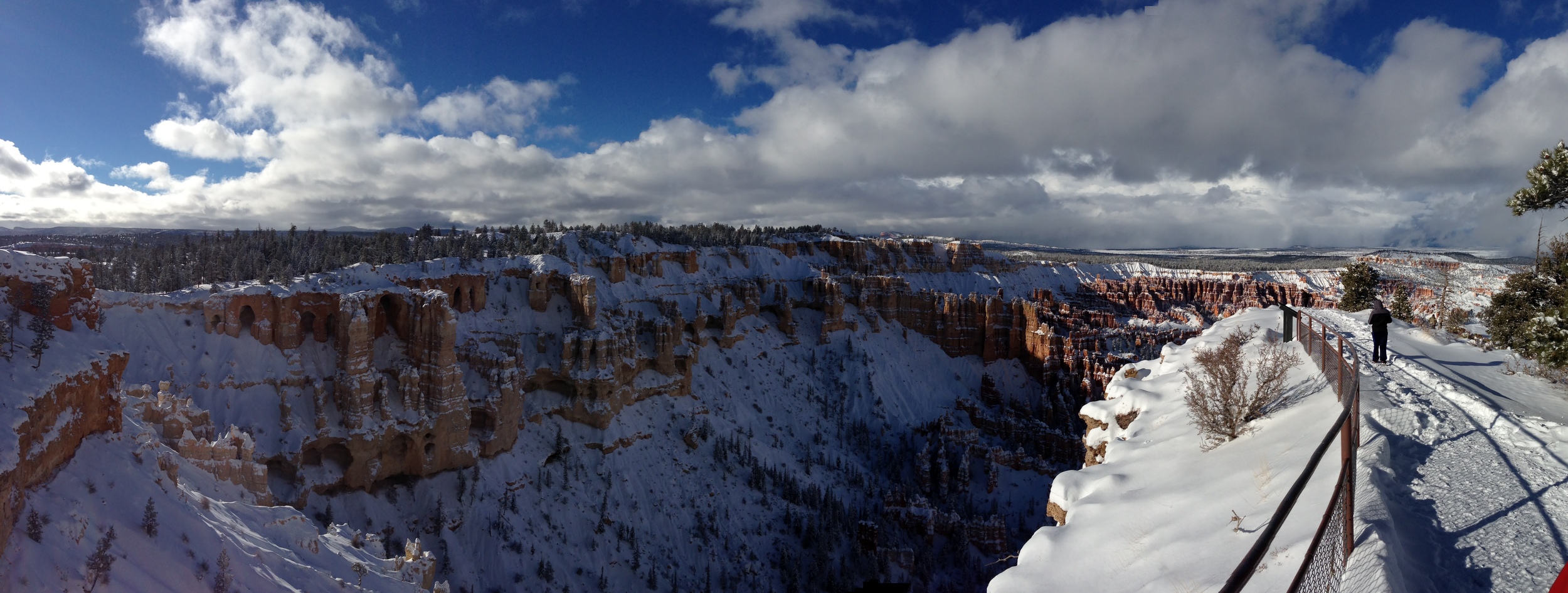 Hoodoos, Bryce Canyon National Park