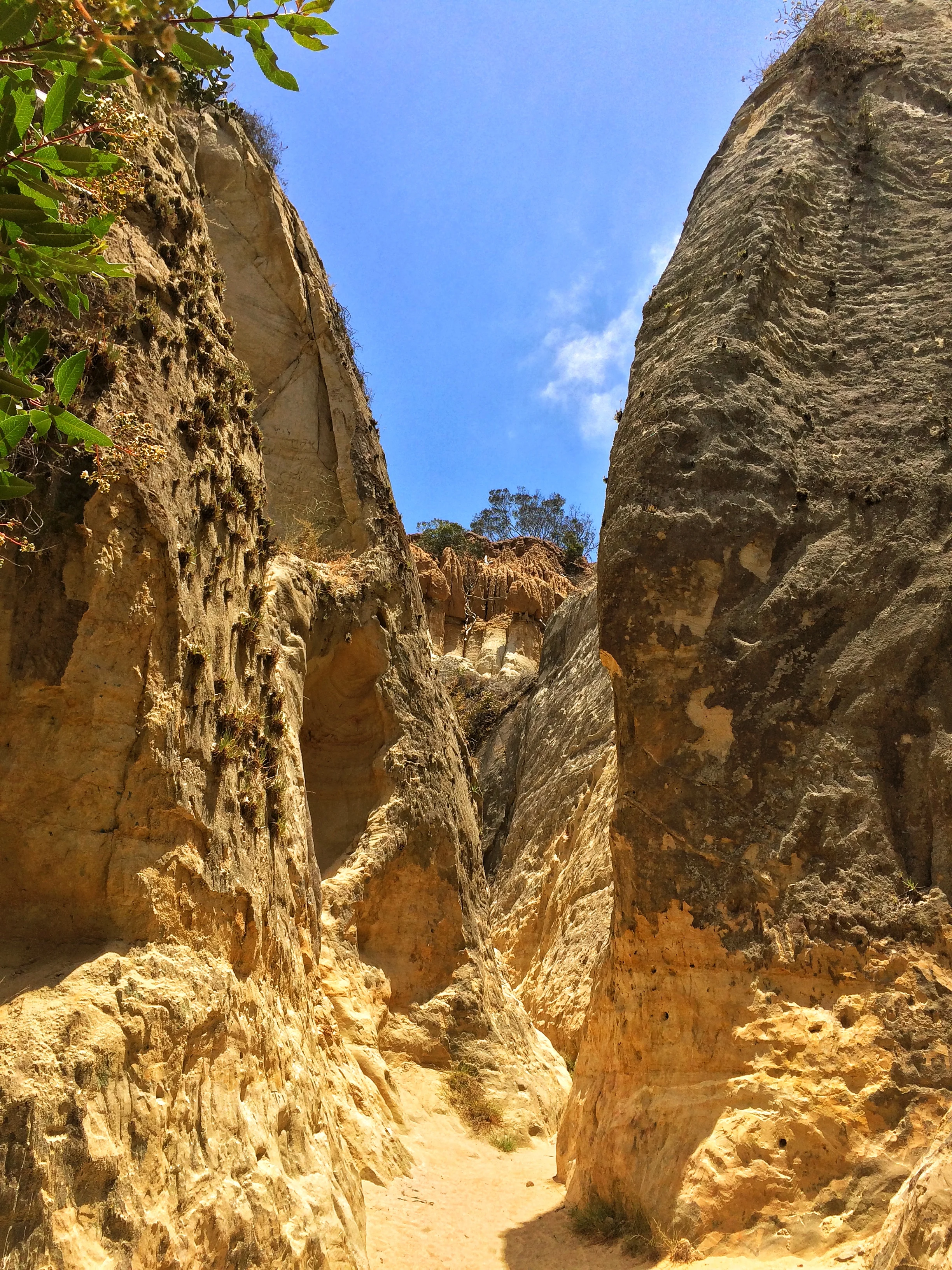 The restored canyon of the Annie's Canyon Trail