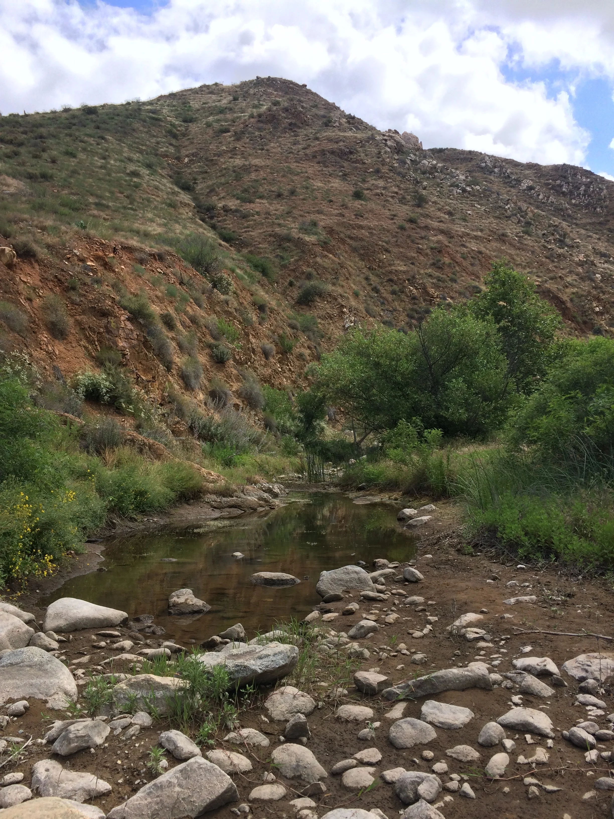Depending on the season, hikers may also see seasonal waterflows near the falls.