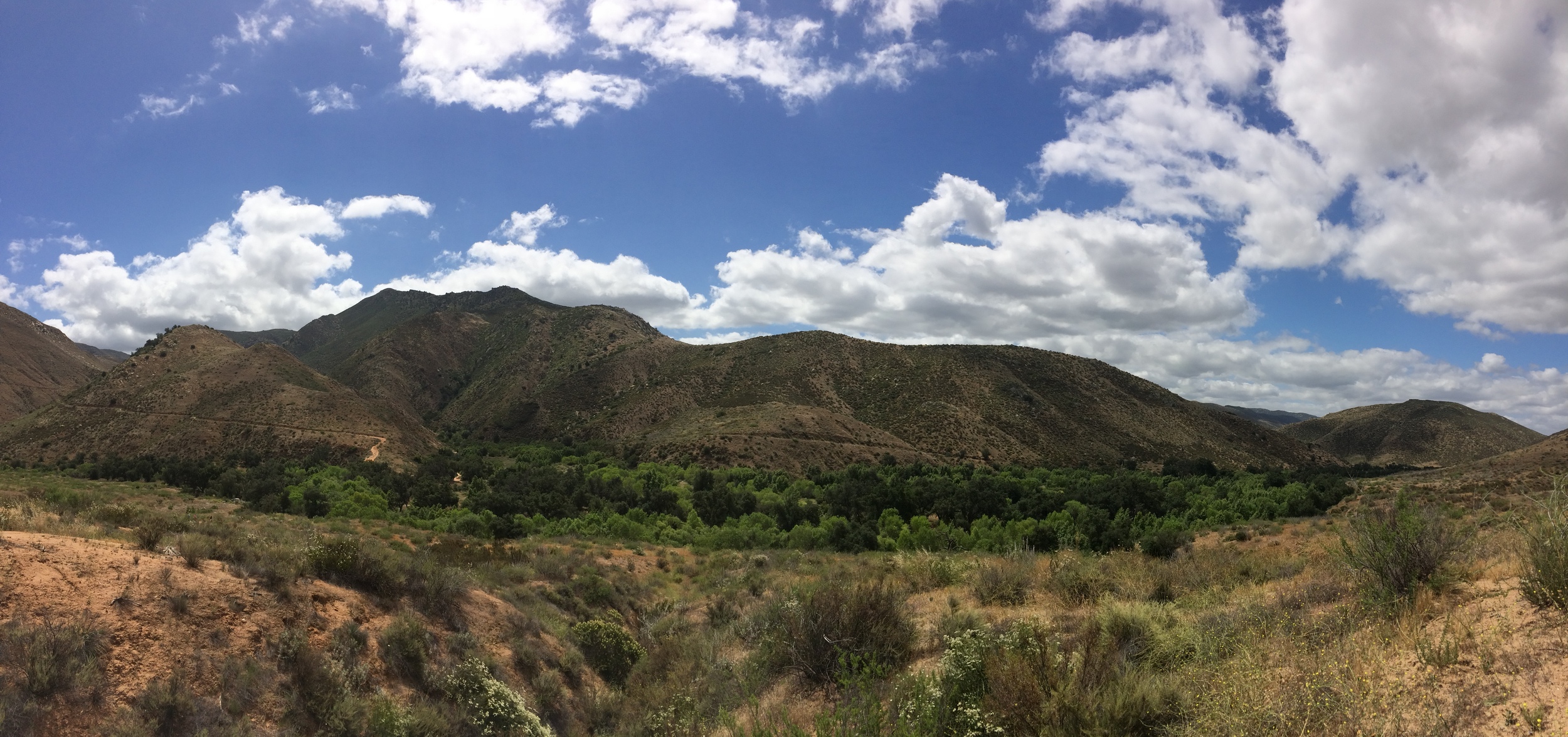 Because of the exposure on this hike, Cedar Creek Falls Hikers should bring plenty of water, especially during the hot summer months.