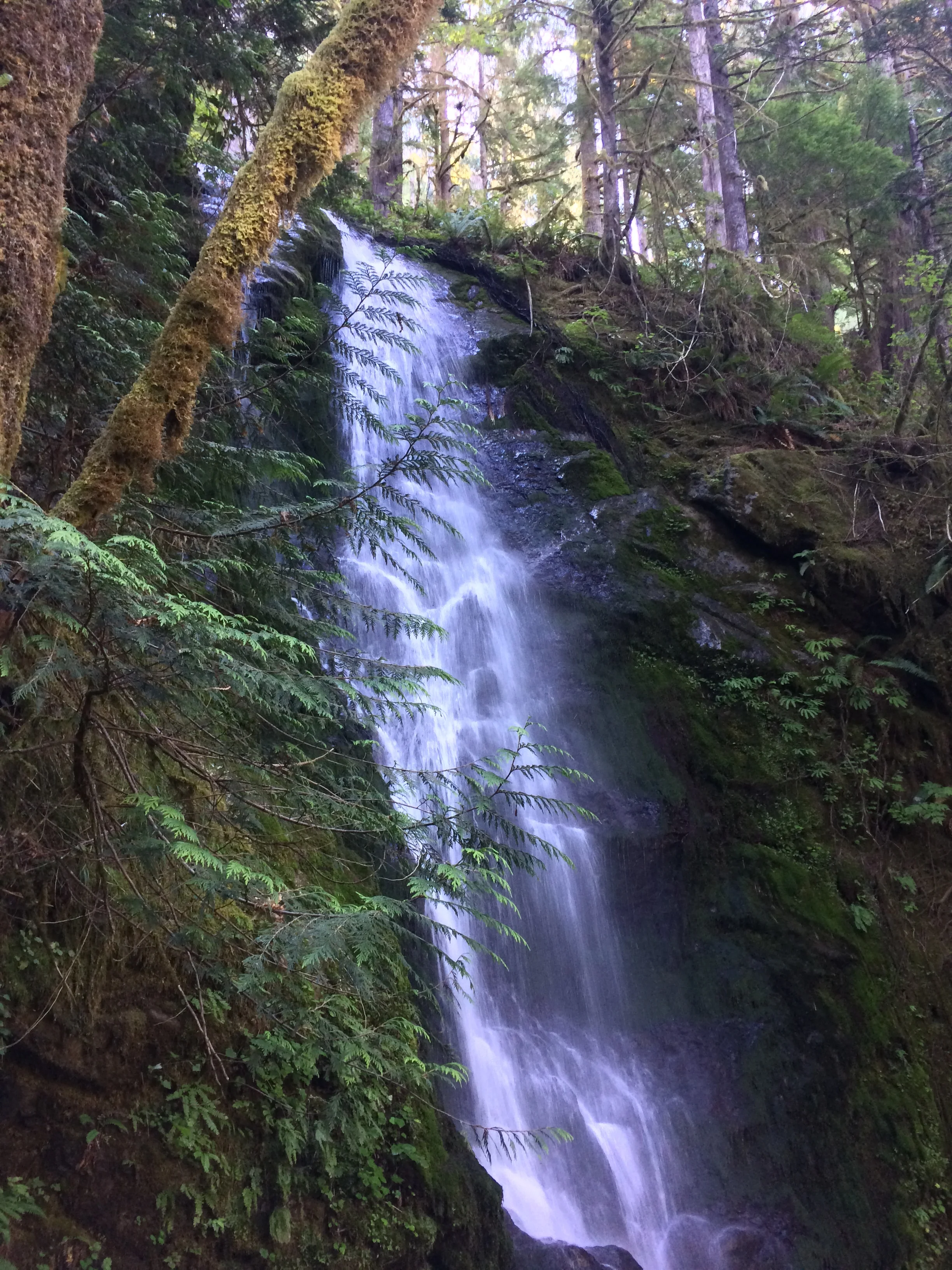 Merriman Falls