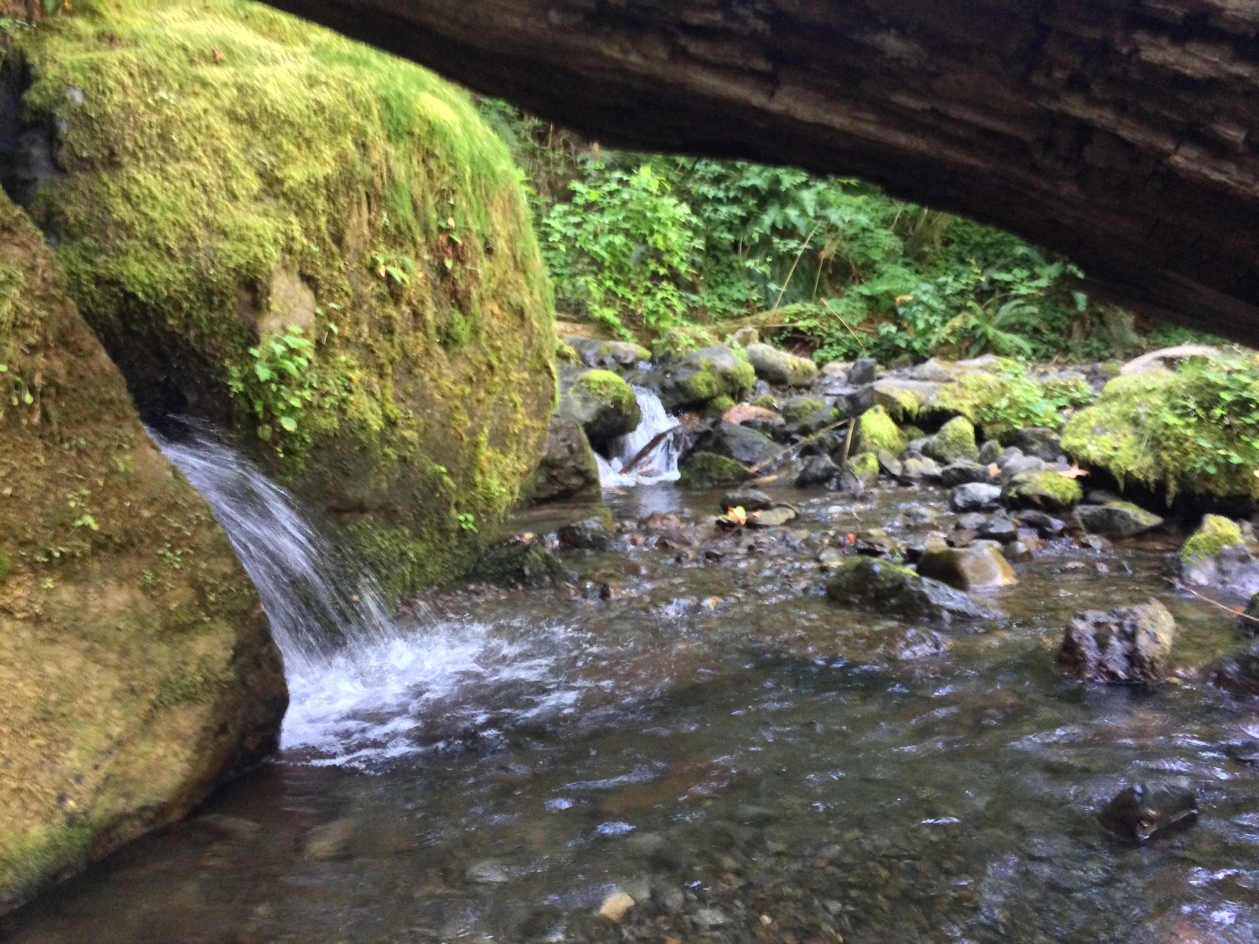 Base of Merriman Falls