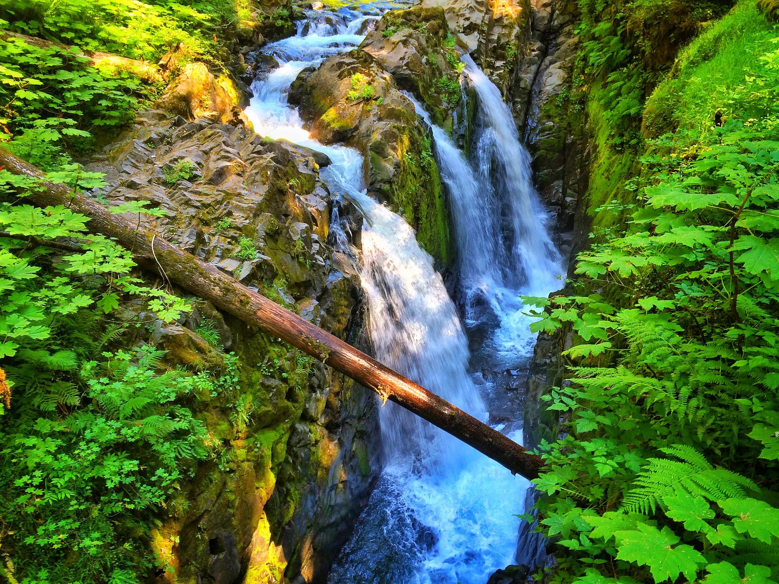 Sol Duc Falls