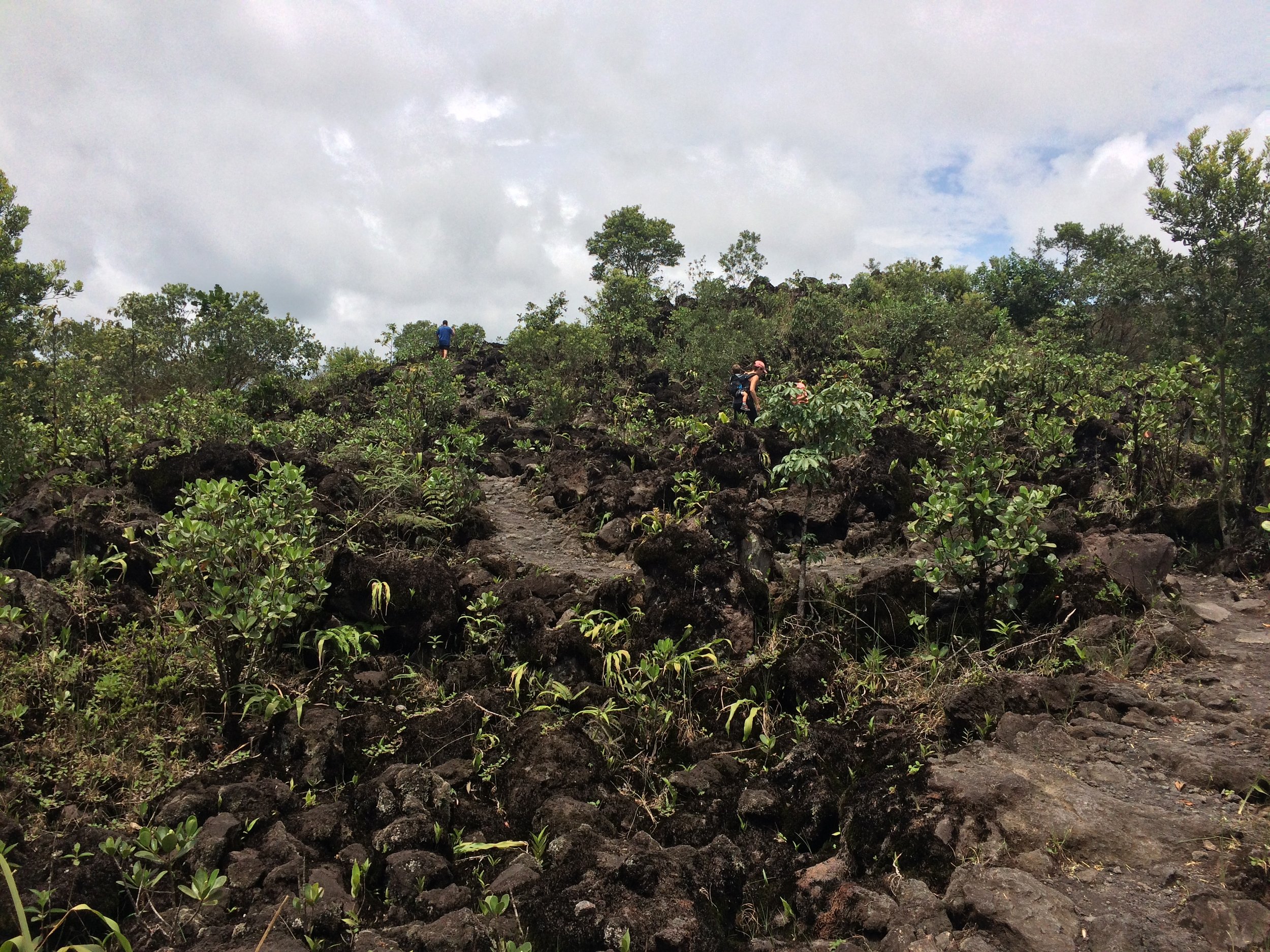 The ascent up to the Lava Flow Summit, Arenal 1968