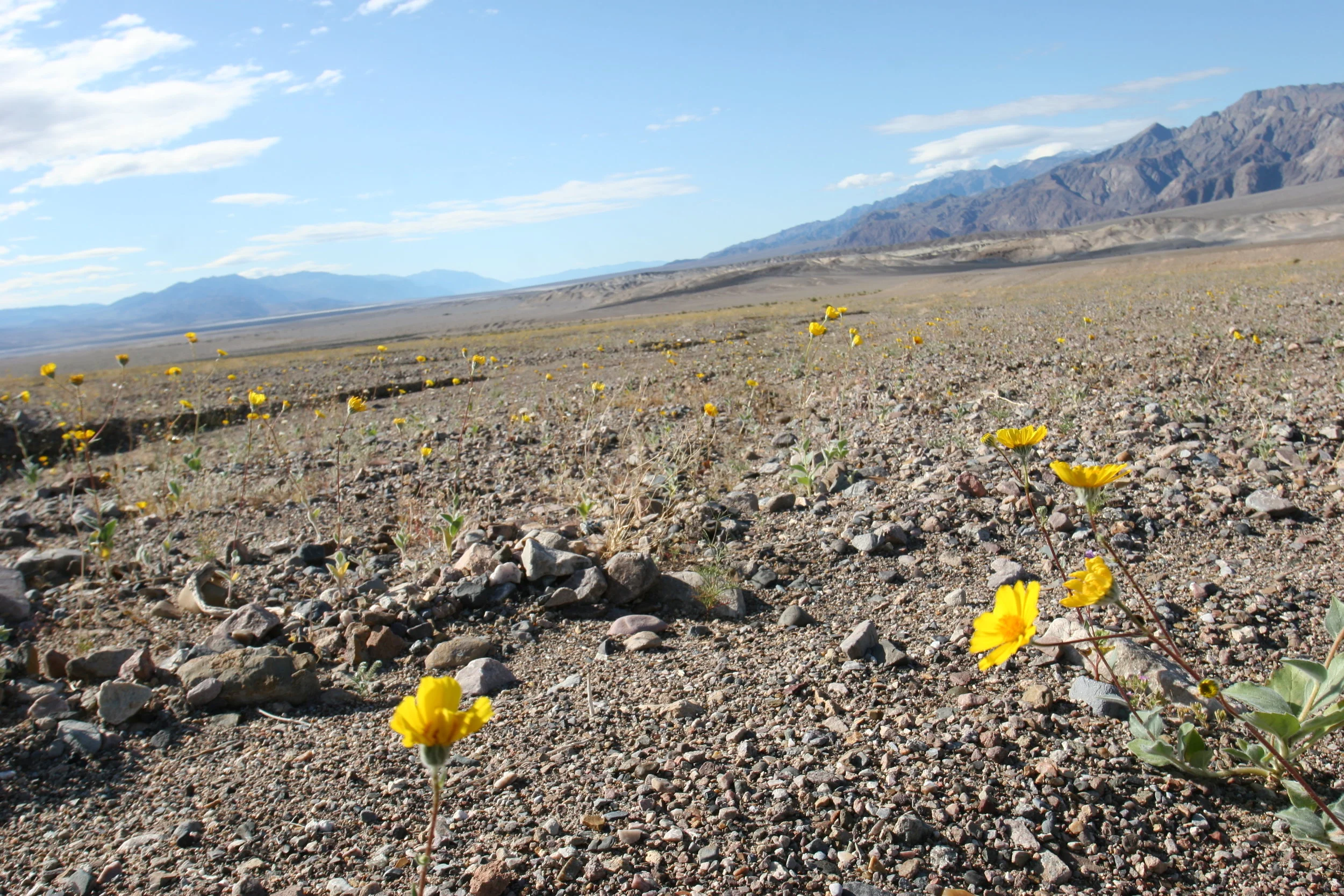 Salt Creek Interpretive Trail