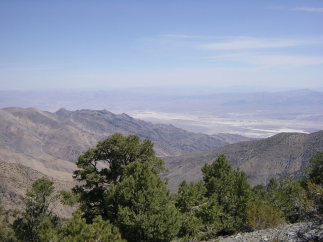 Wildrose Peak Trail