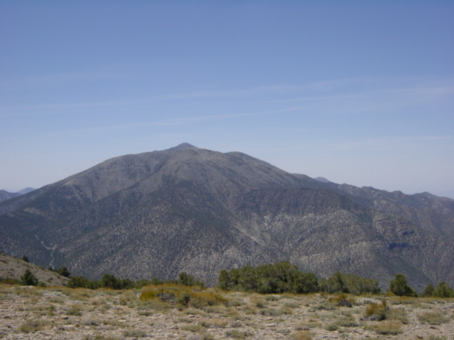 Wildrose Peak Trail