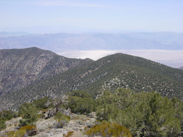 Wildrose Peak Summit