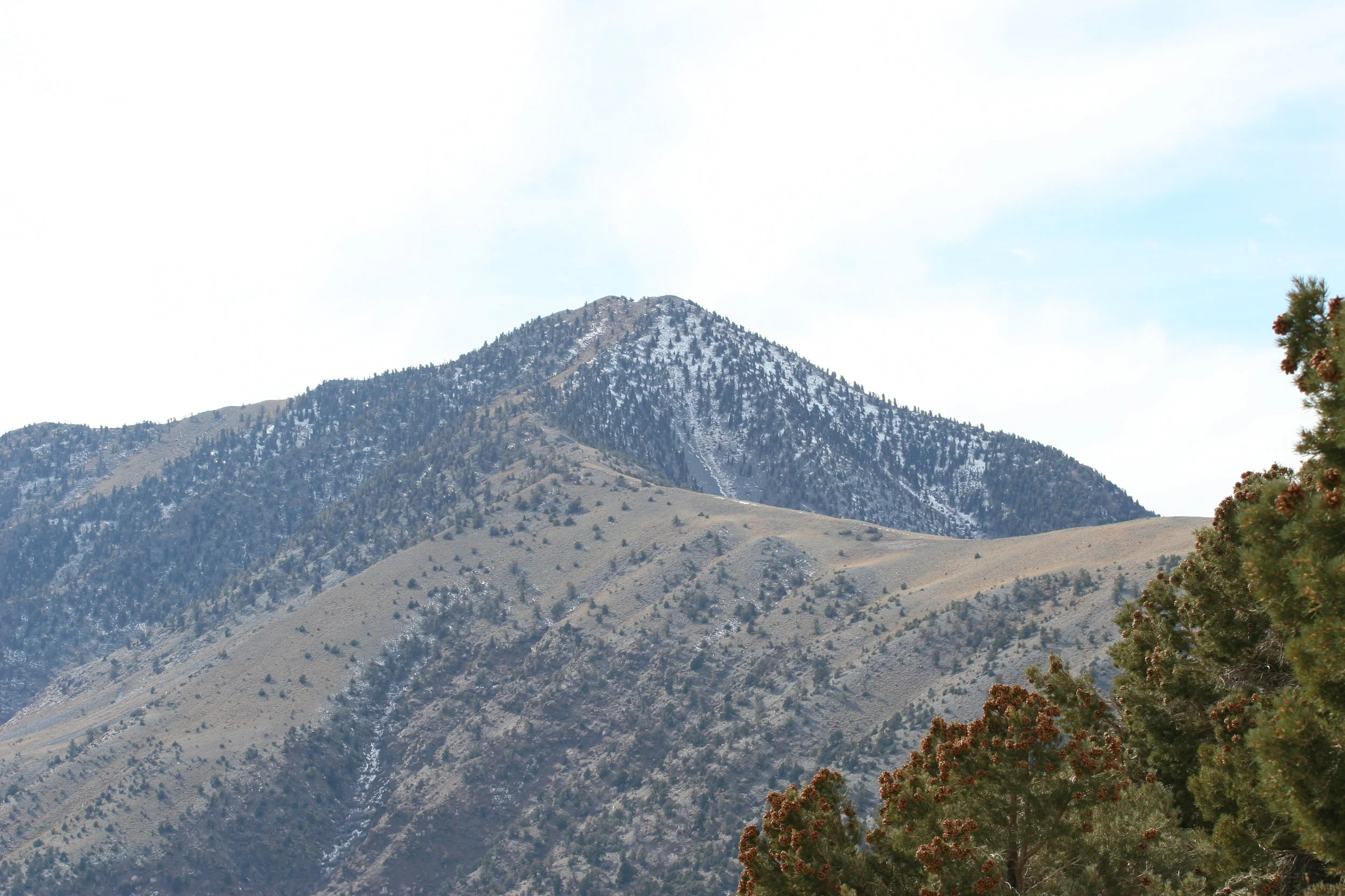 Telescope Peak