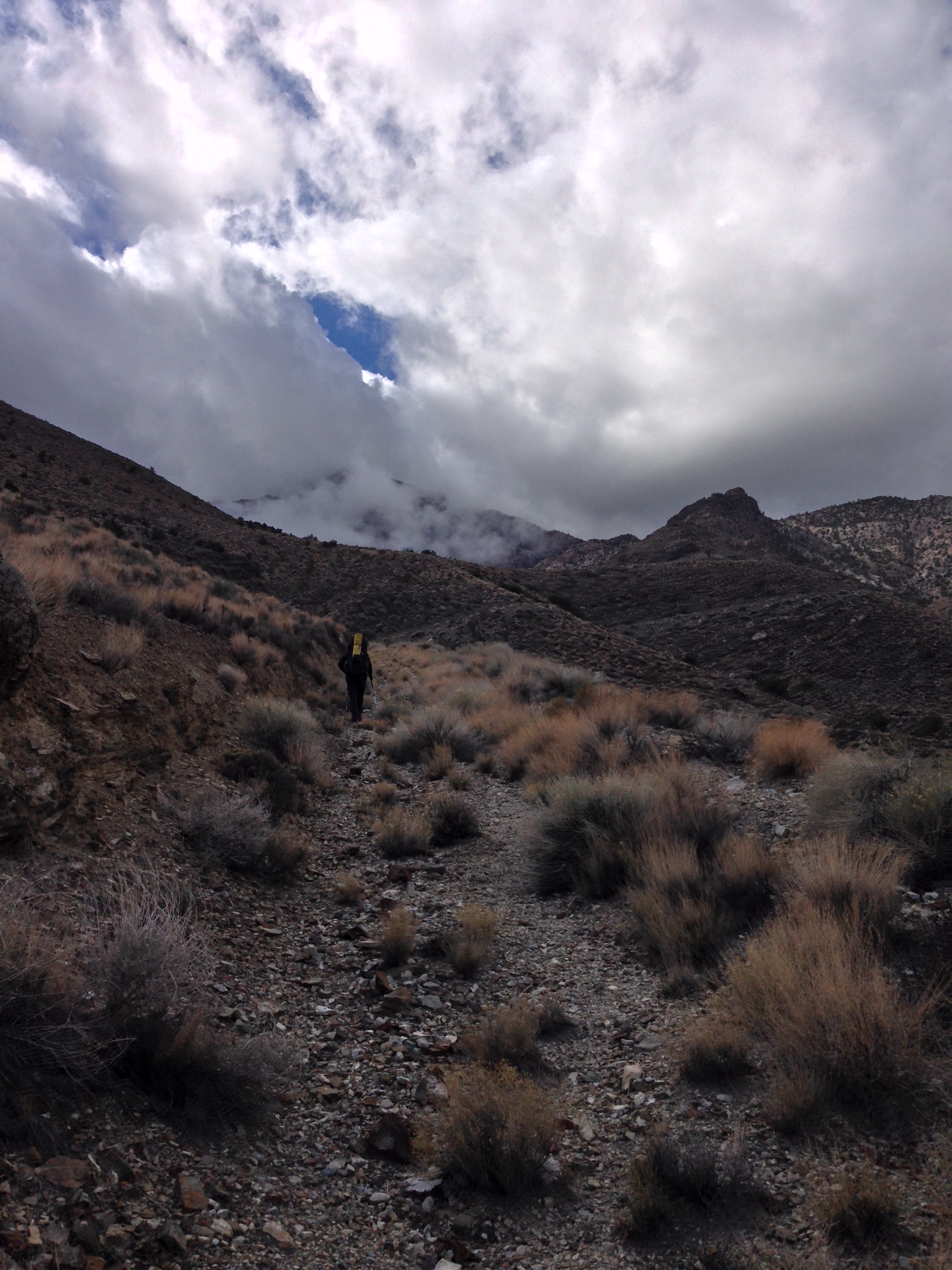 No matter how many times one visits Death Valley, there's always something new to explore.