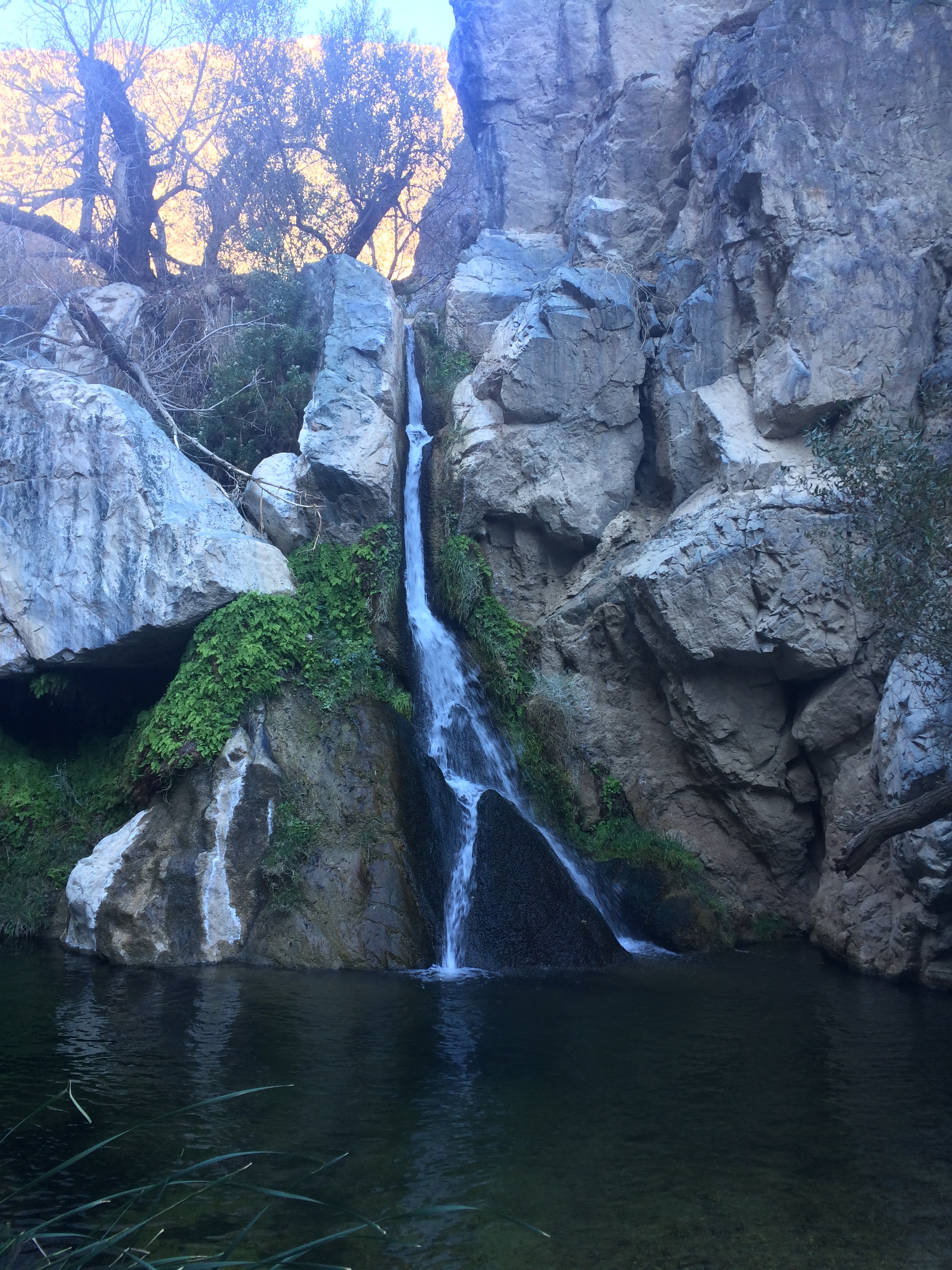 Darwin Falls