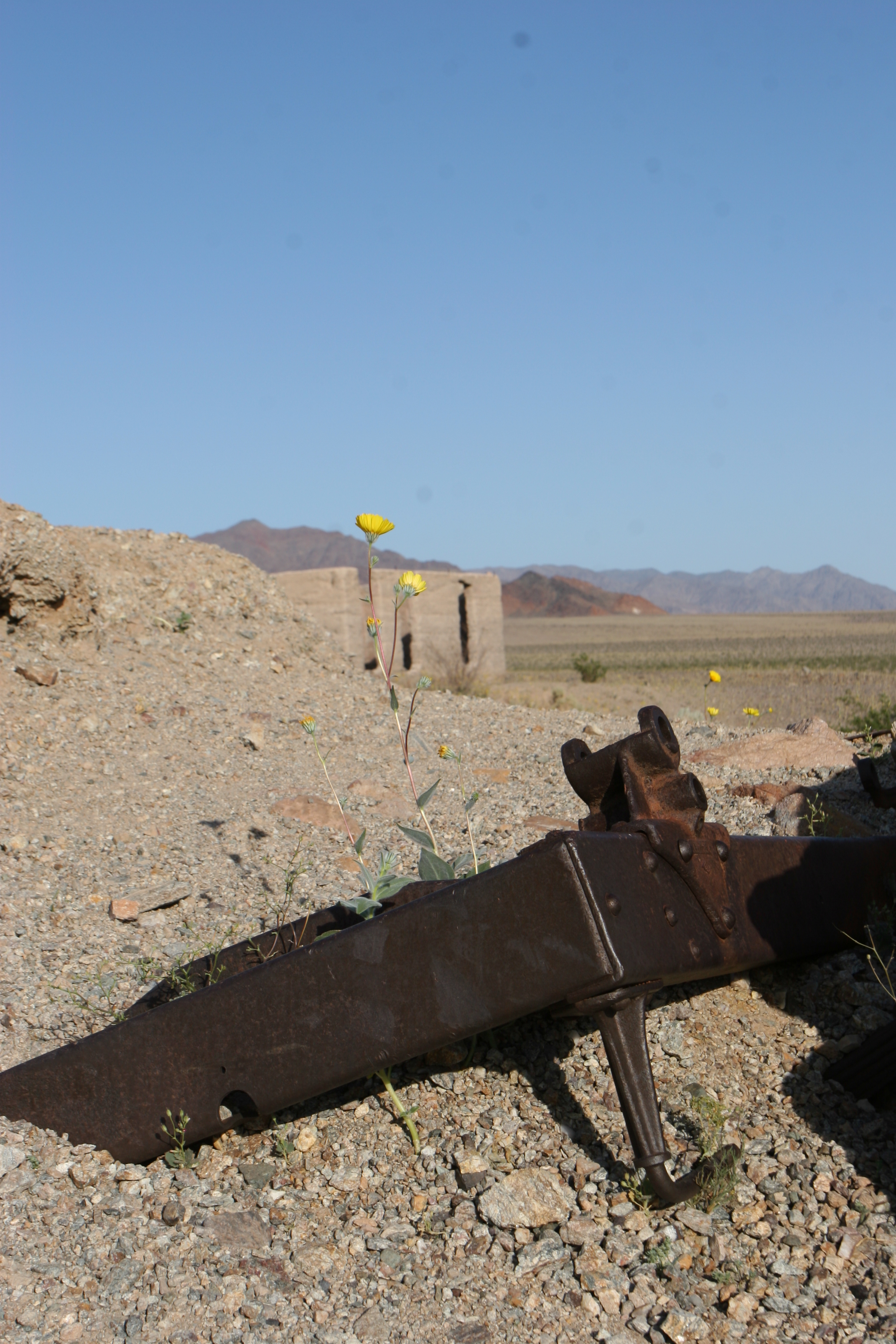 Ashford Mill, Death Valley