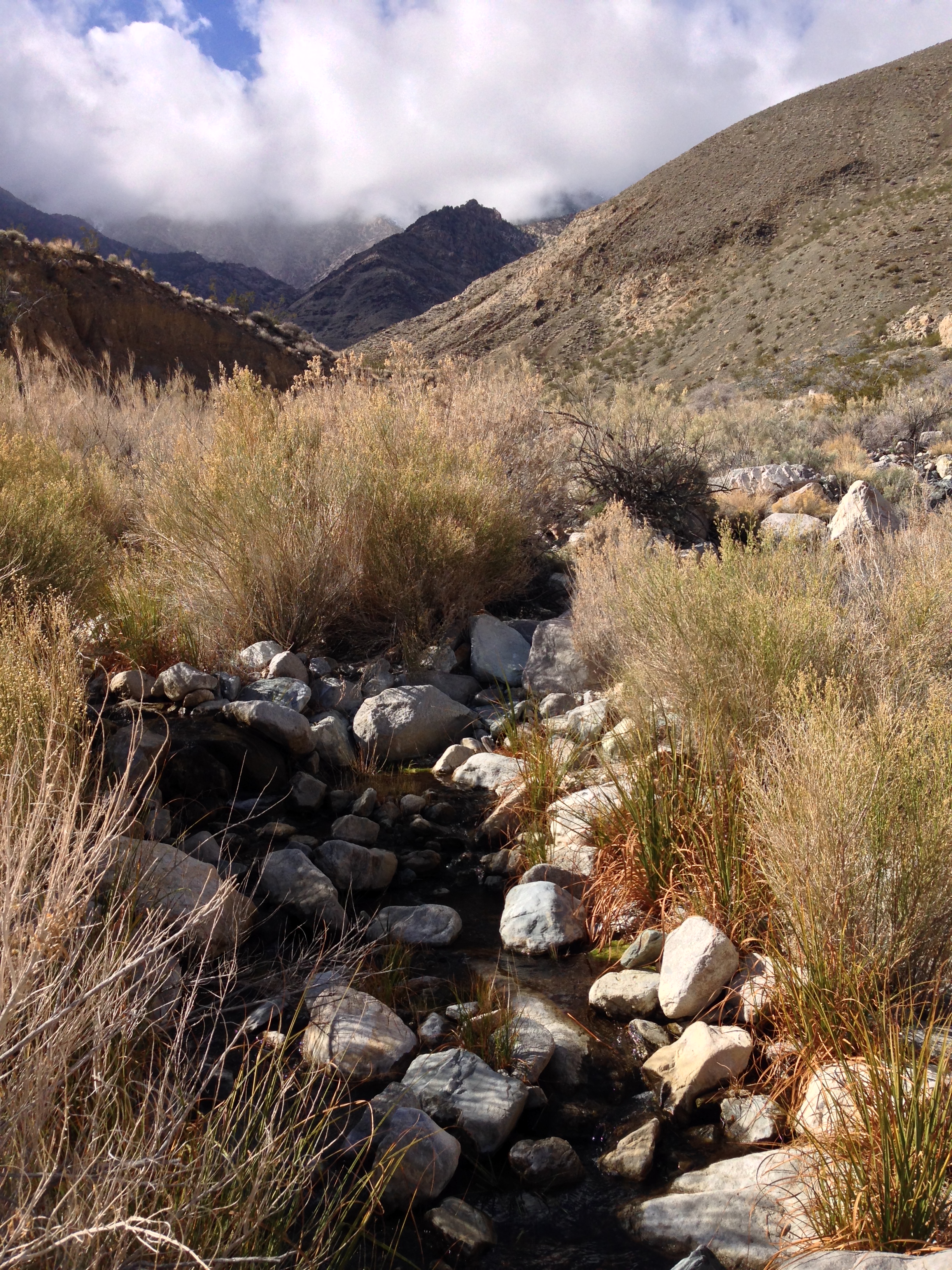 Shorty's Mine is located next to a year-round source of fresh water in Hanaupah Canyon.