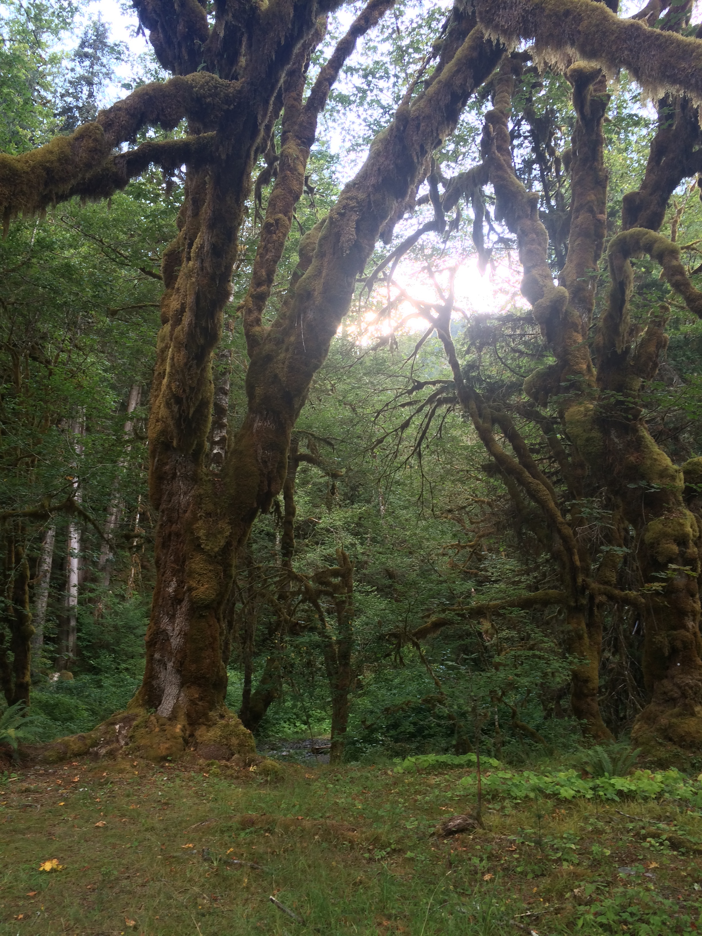 The Shady Lane Trail provides great exploration opportunities without crowds.