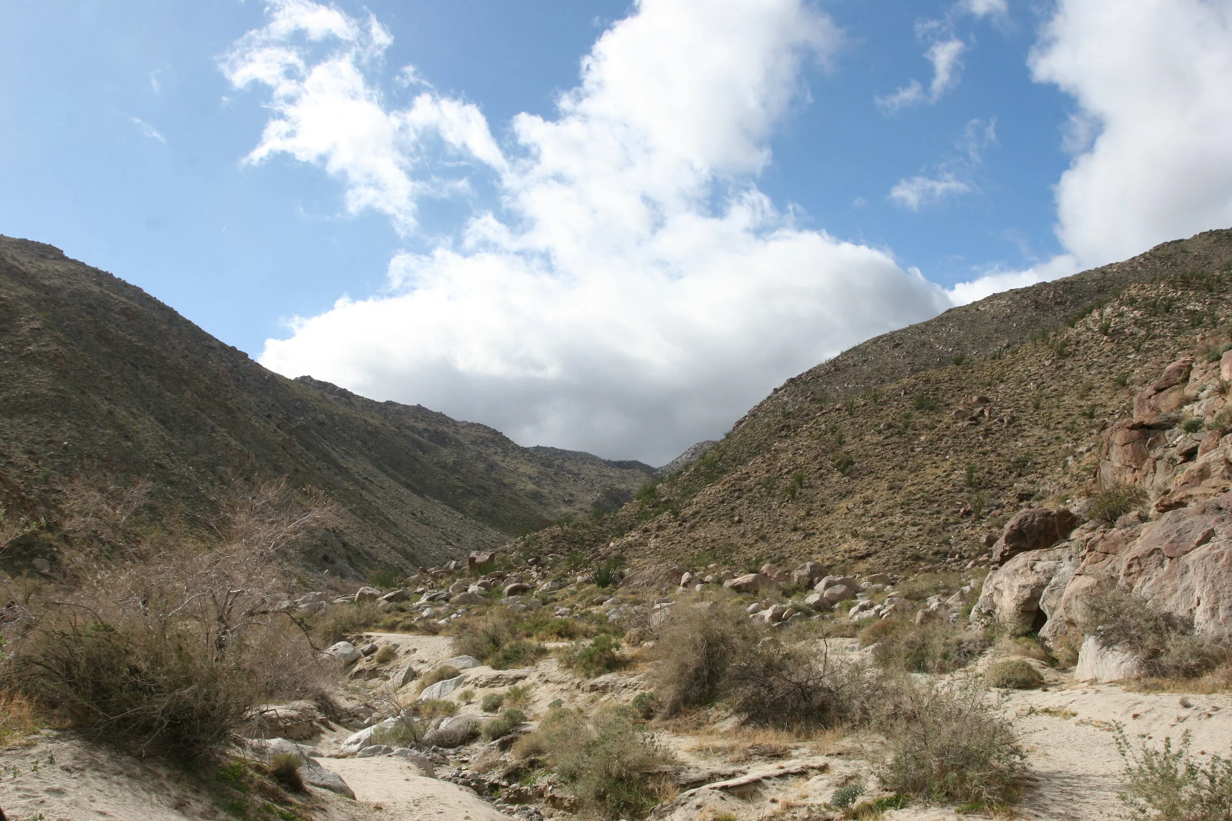 The Anza-Borrego Desert: potentially home to Southern California's own bigfoot.
