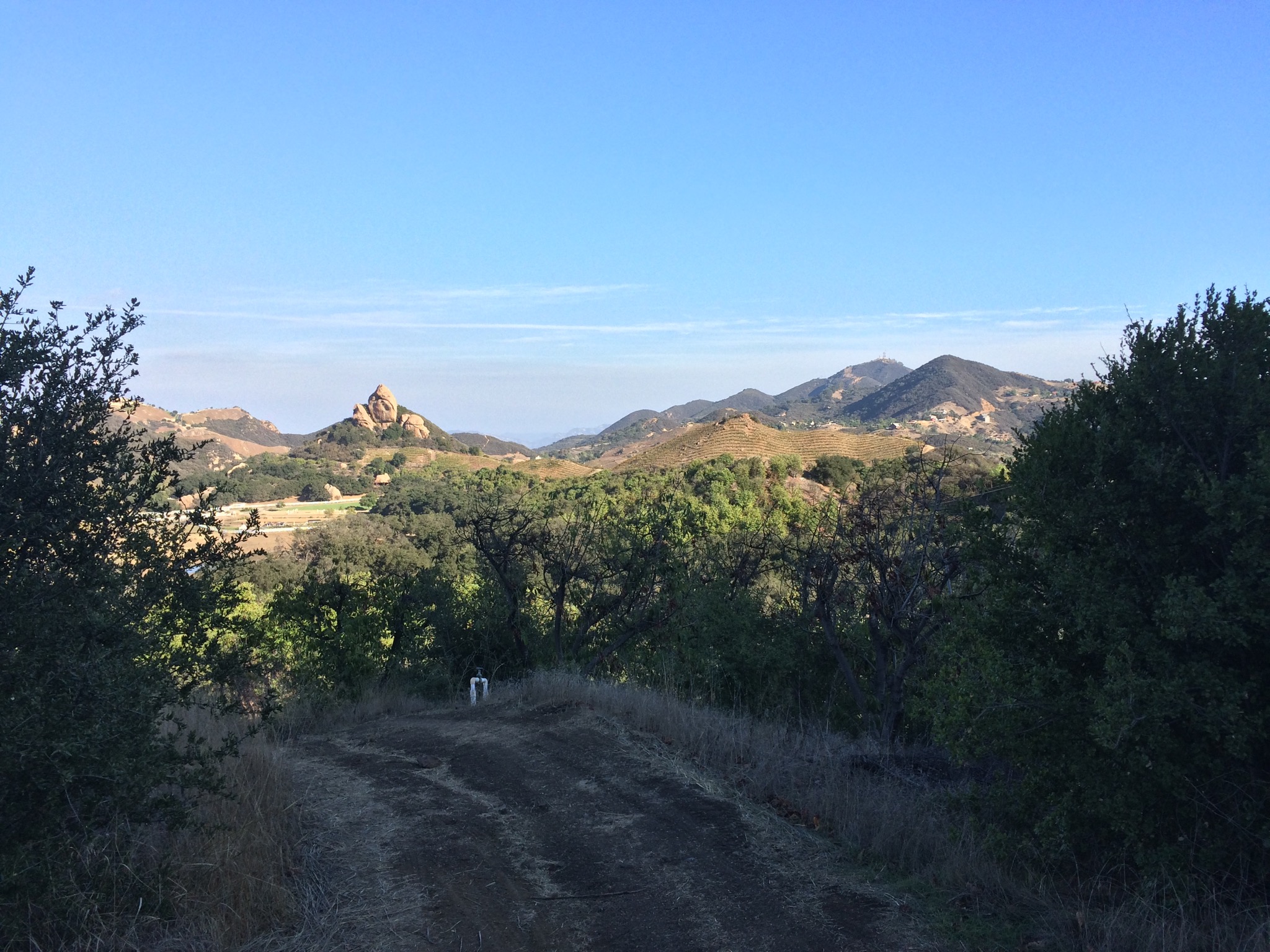Malibu Wine Hikes take place at the scenic Saddlerock Ranch, outside of Malibu