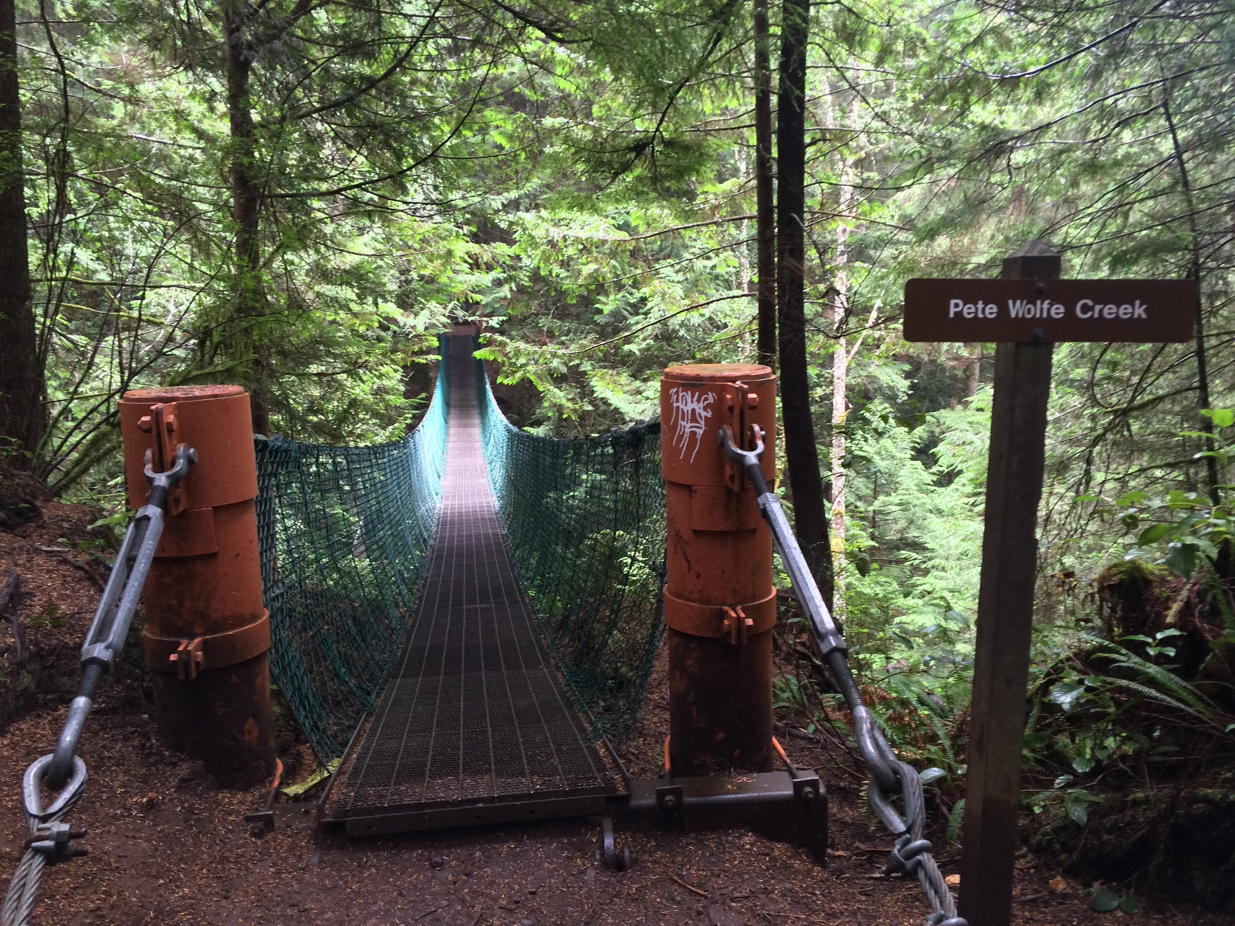 The suspension bridge that crosses Pete Wolfe Creek is one of the highlights of the hike.