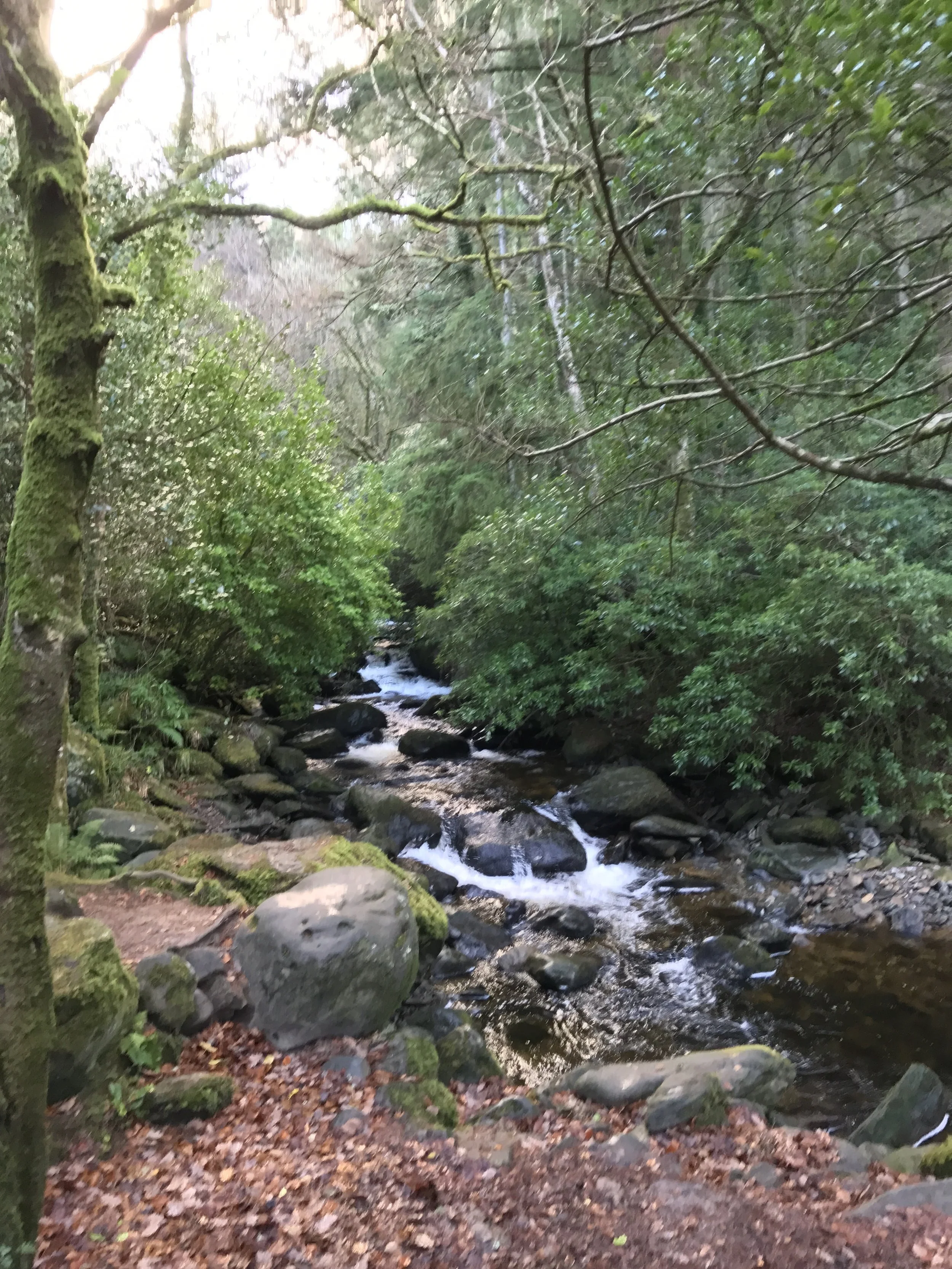 The Torc Waterfall and its attendent cascade have been a popular destination to hike since the nineteenth century.