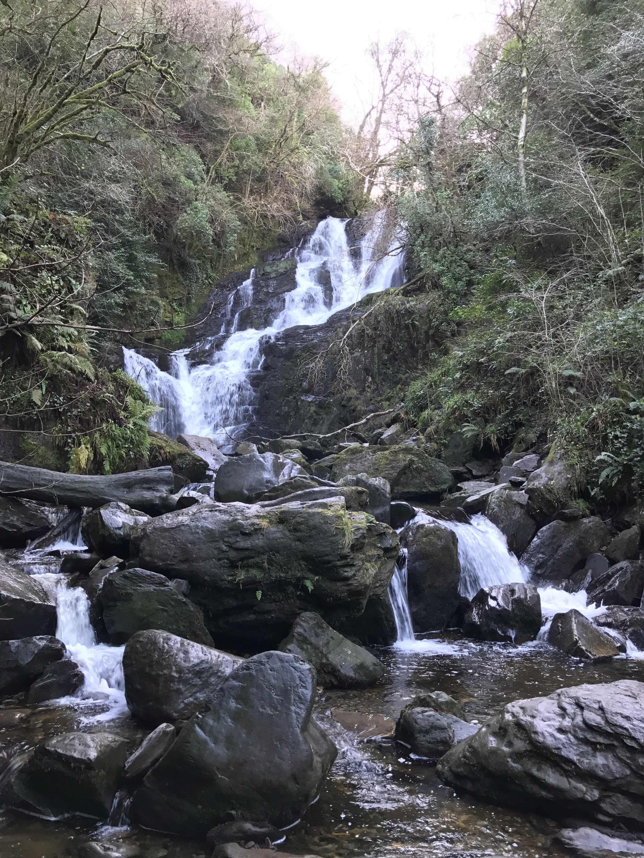 No matter what season one visits, the Torc Waterfall never fails to impress with a sixty foot drop.