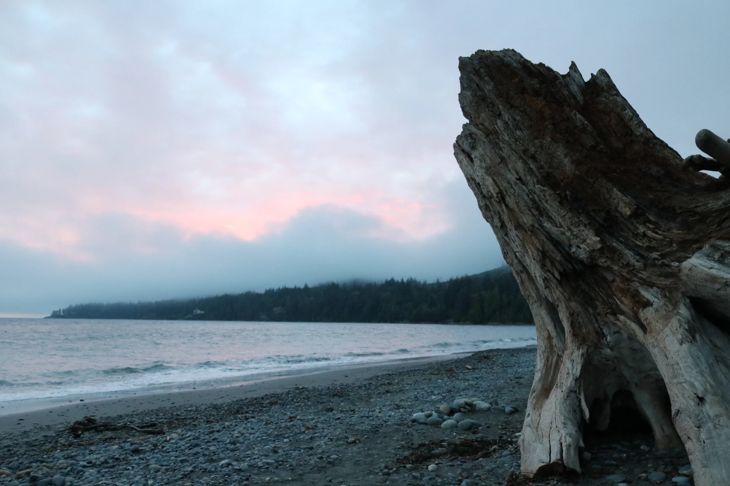WIth wildlife viewing opportunities and plenty of places to explore, French Beach is a great spot for all types of travelers.