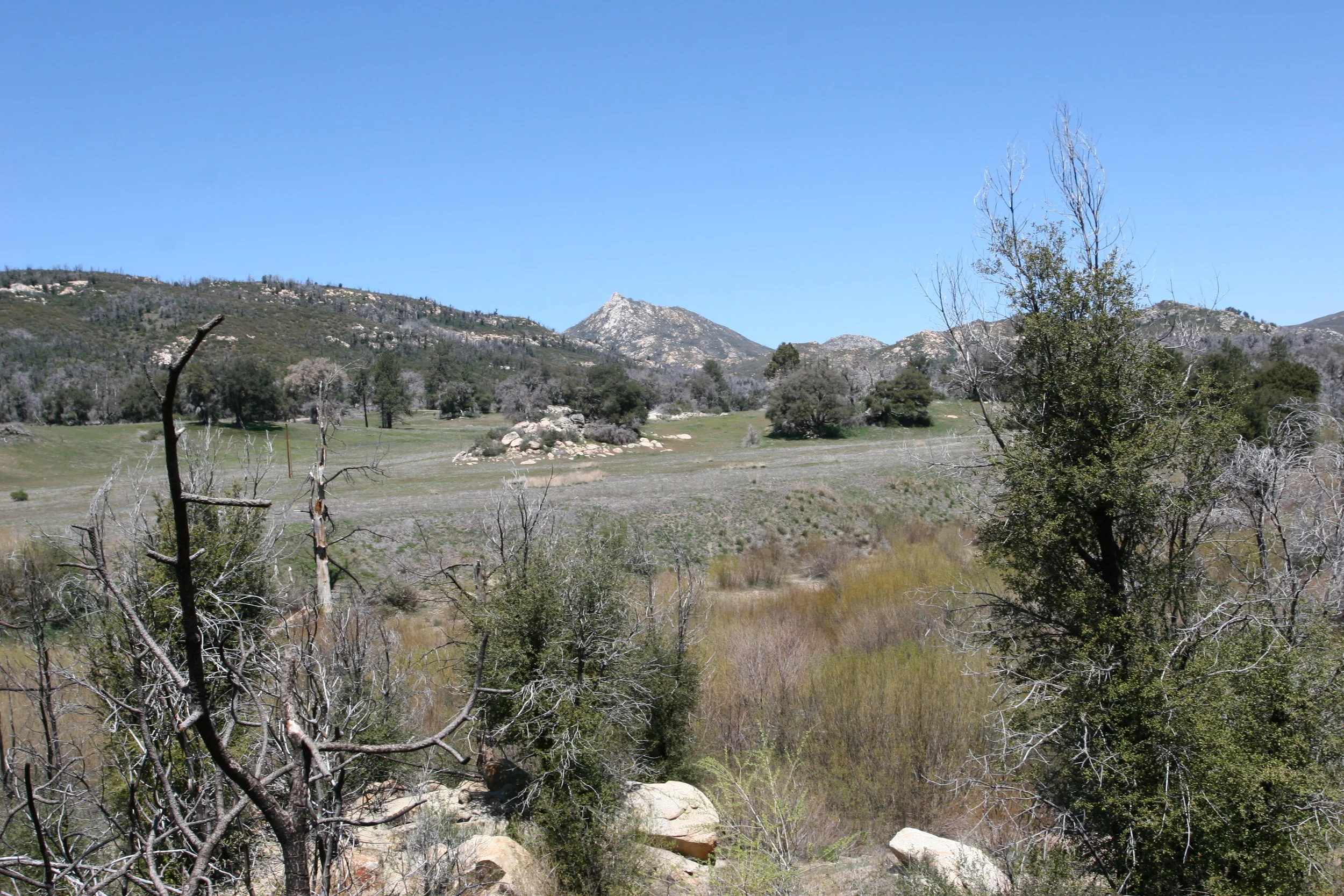 Stonewall Peak, as seen from the East Side Trail.