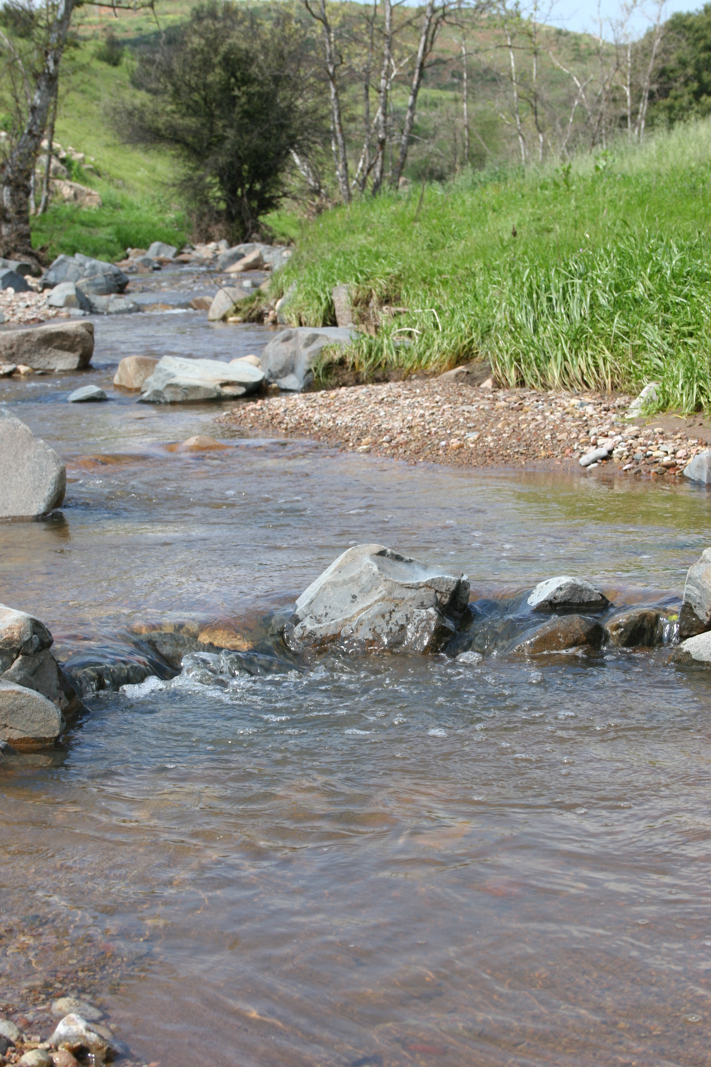 Depending on the year and the season, the trail to the Oak Canyon Falls may also have water on it.