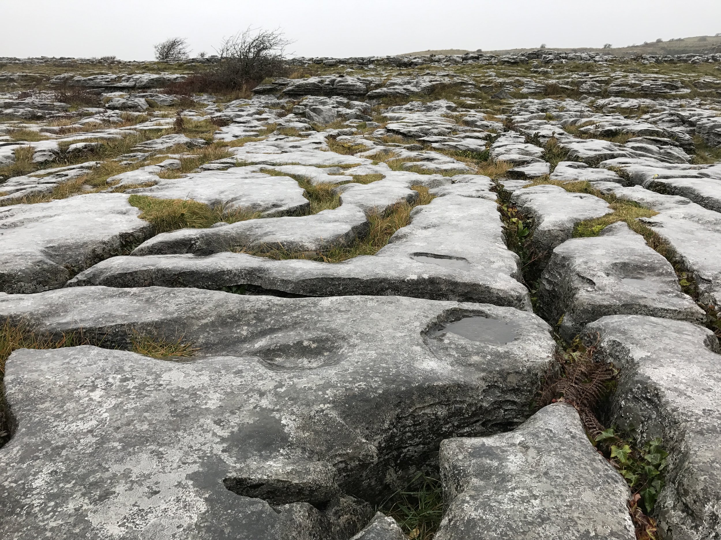 Poulnabrone is located in the Burren portion of Ireland, which has geologic features unlike the rest of the island. 