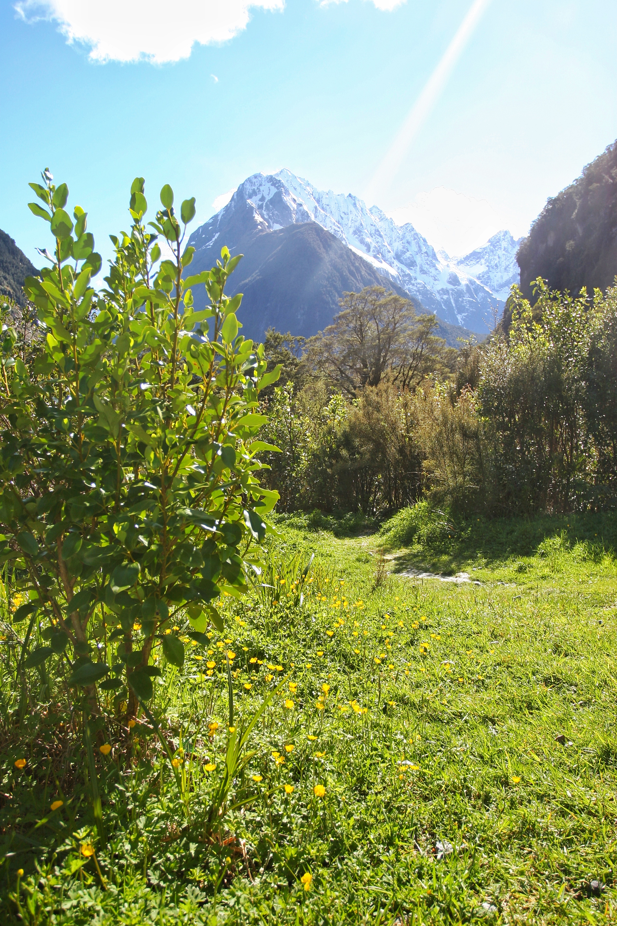 The Milford Region in Fiordland National Park is a great location to explore during a day, or multiple days. 