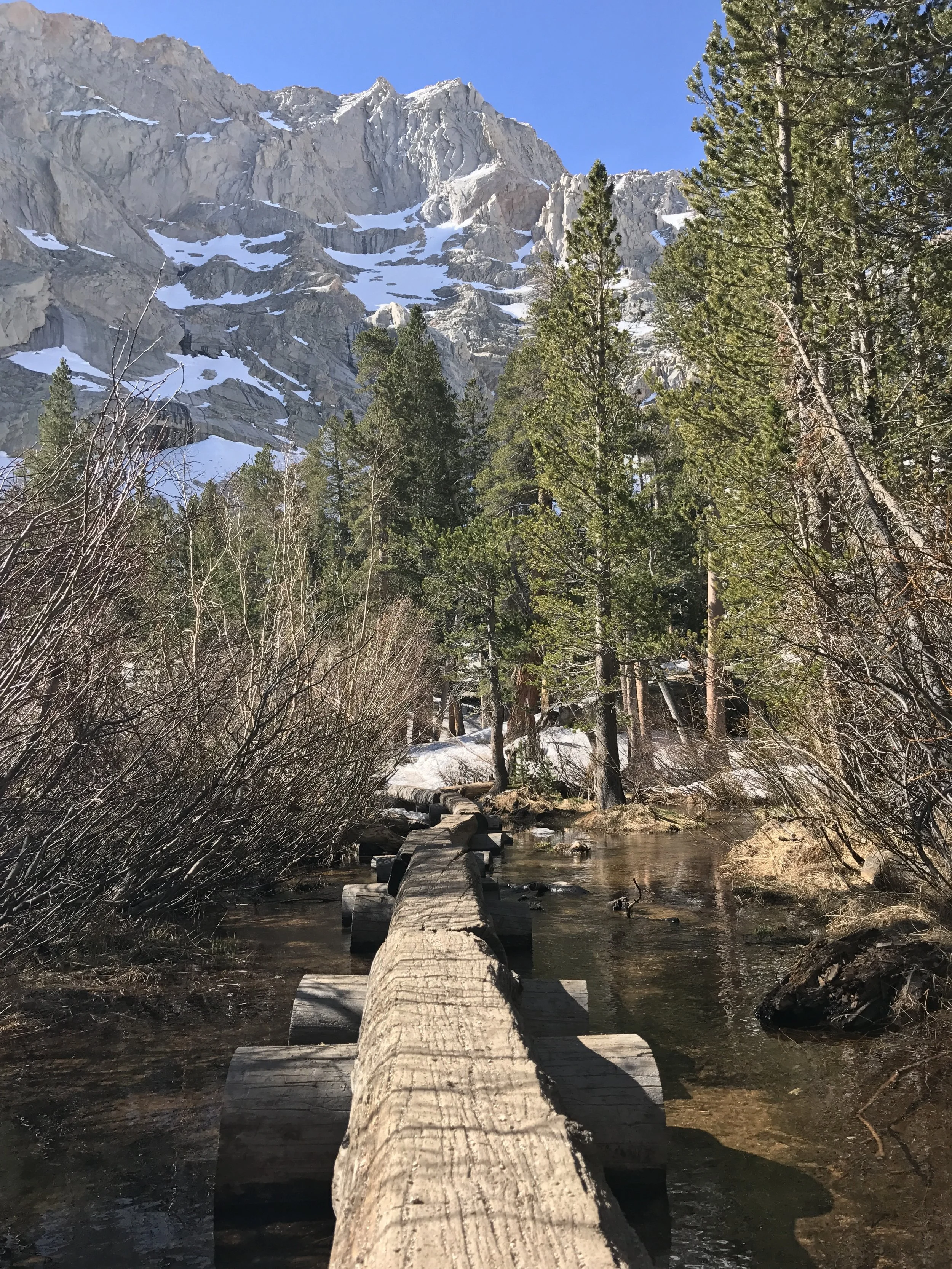 The only turn hikers need to make to reach the lake is shortly after this log bridge.