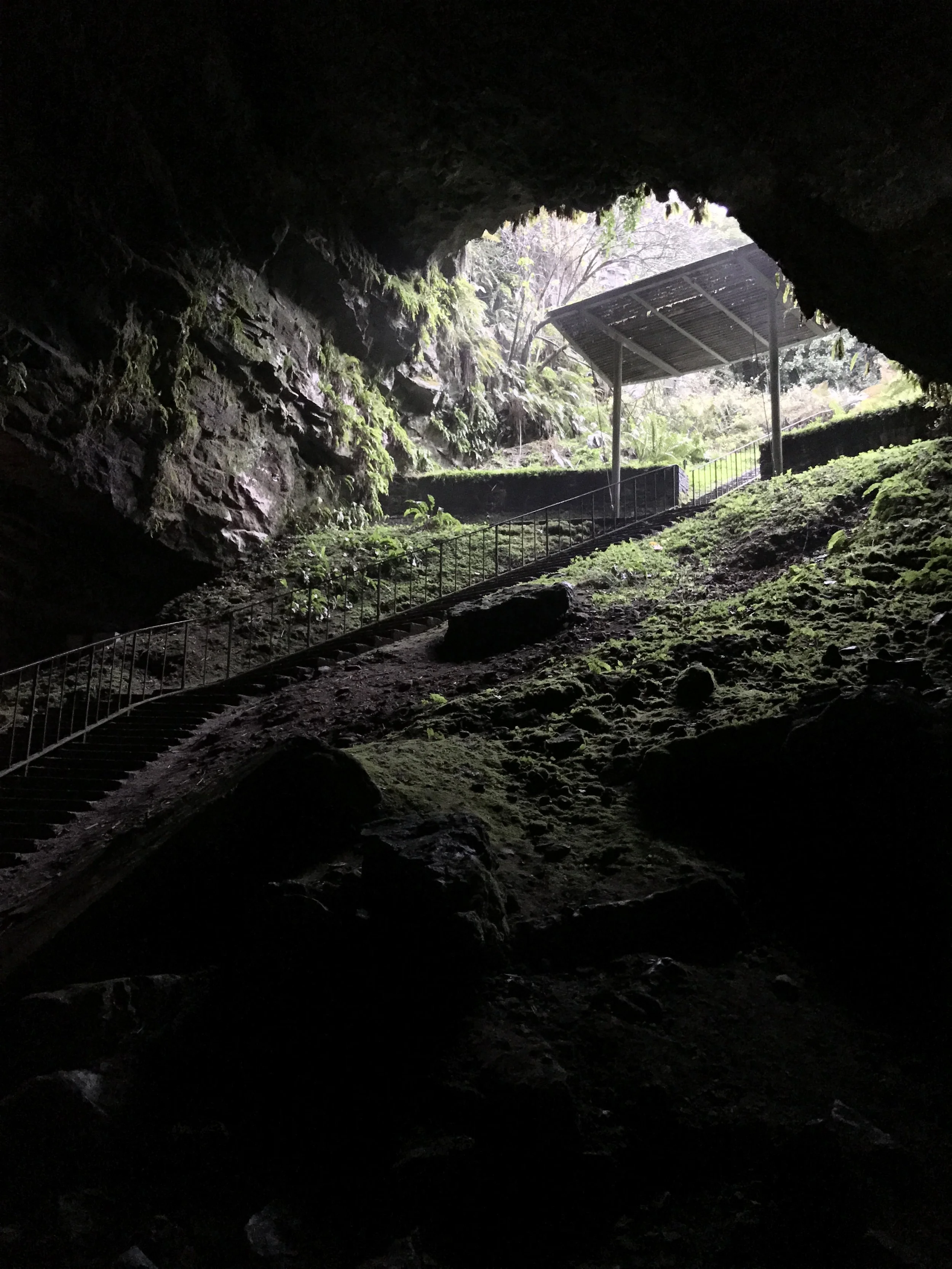 Entrance into Dunmore Cave