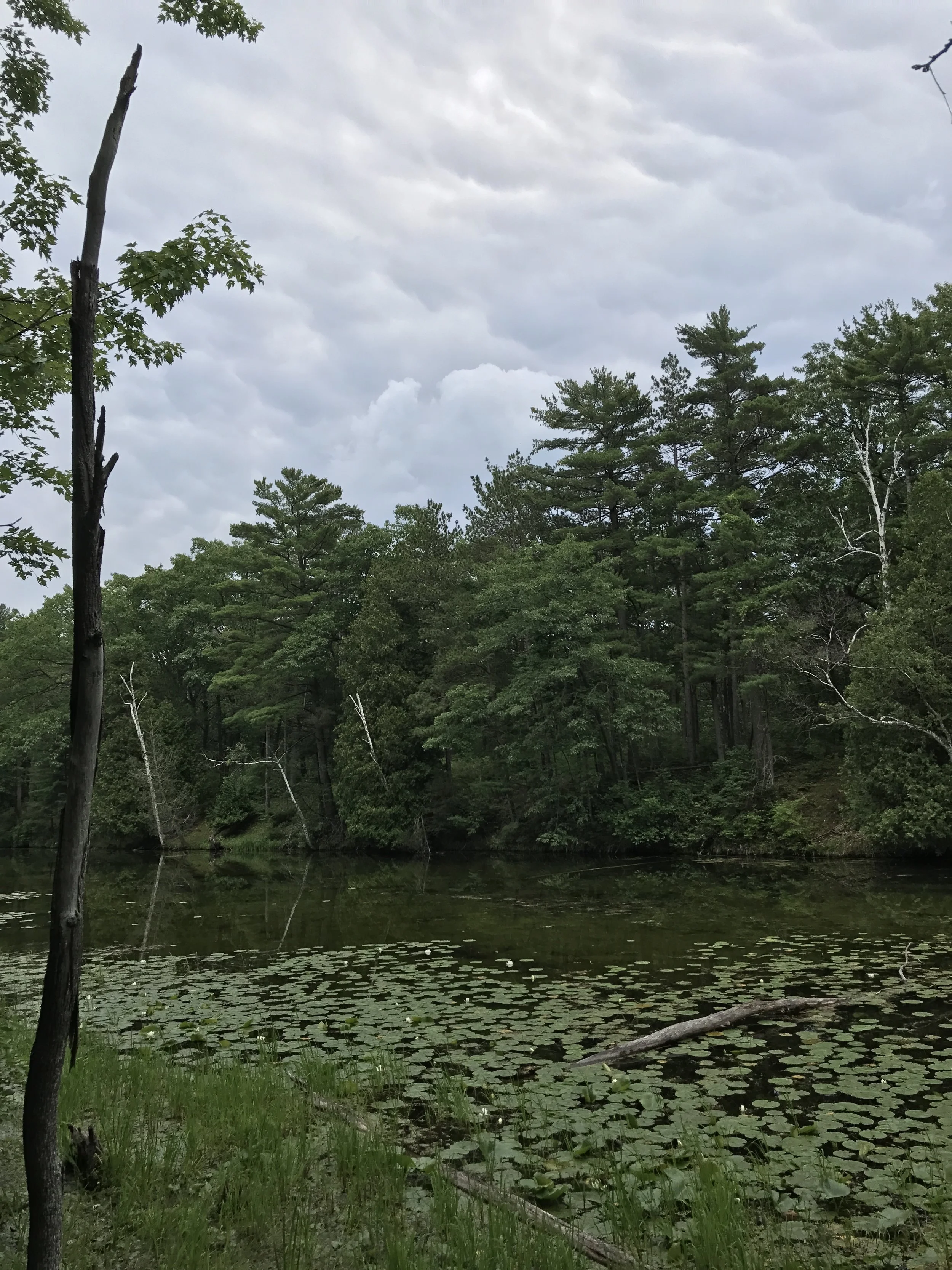 Old Ausable Channel, Hickory Trail