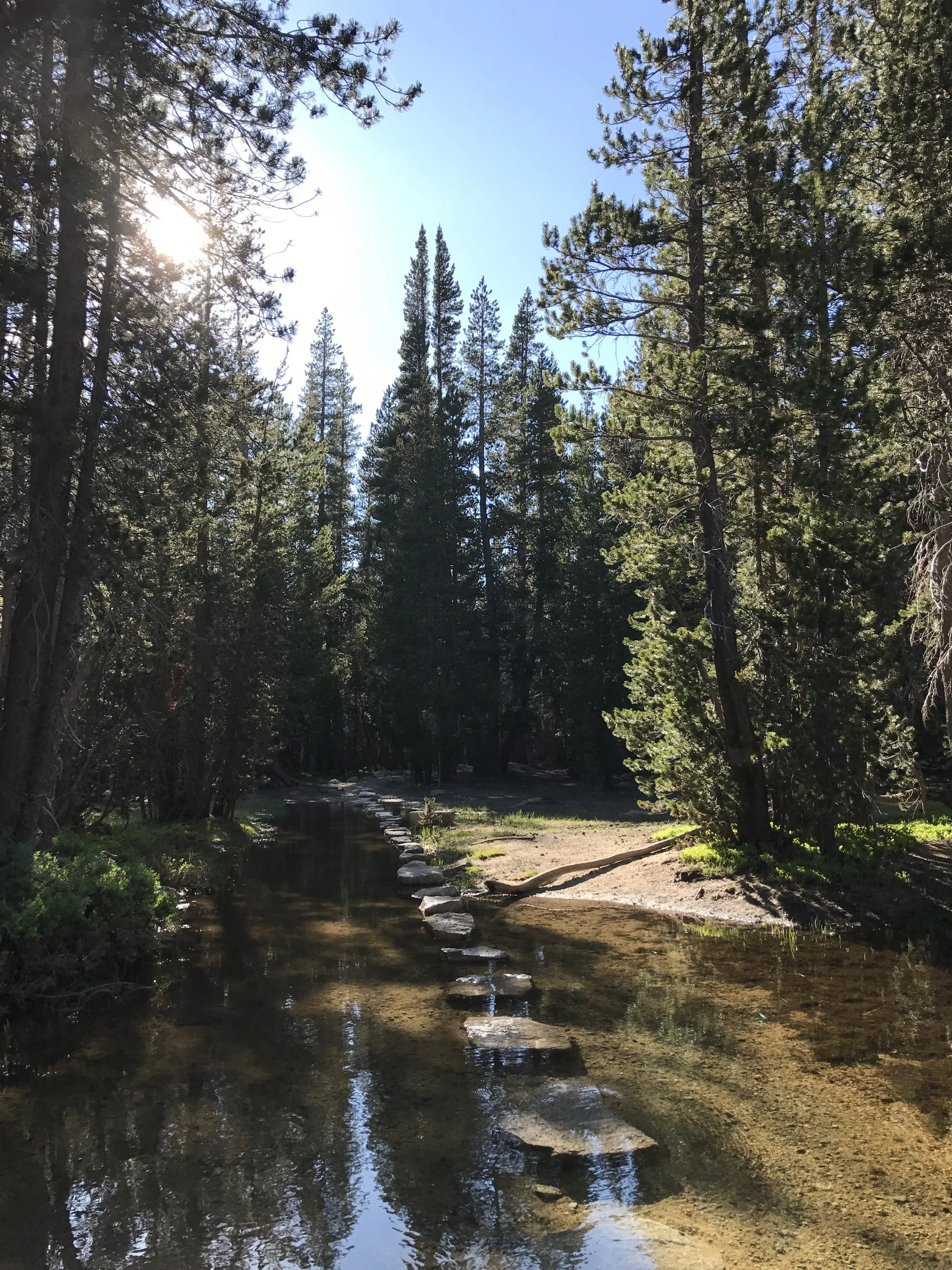 The route begins by crossing the Tenaya Lake drainage, which can be a deep water crossing.