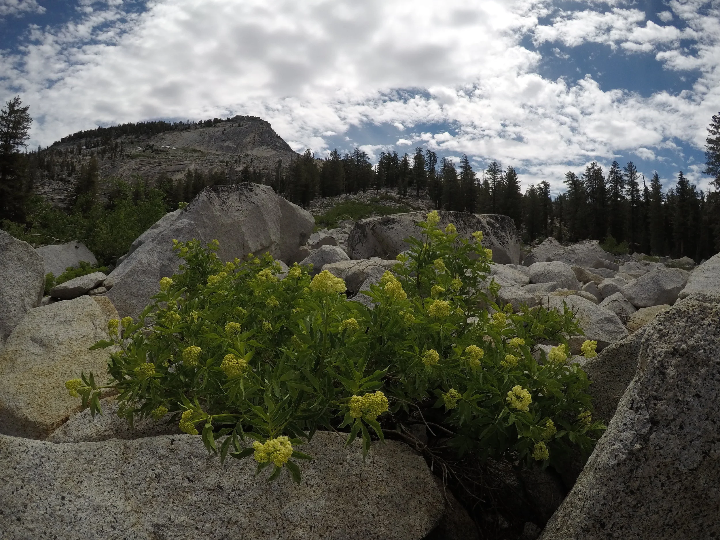From the saddle, the trail descends through meadows and forests.