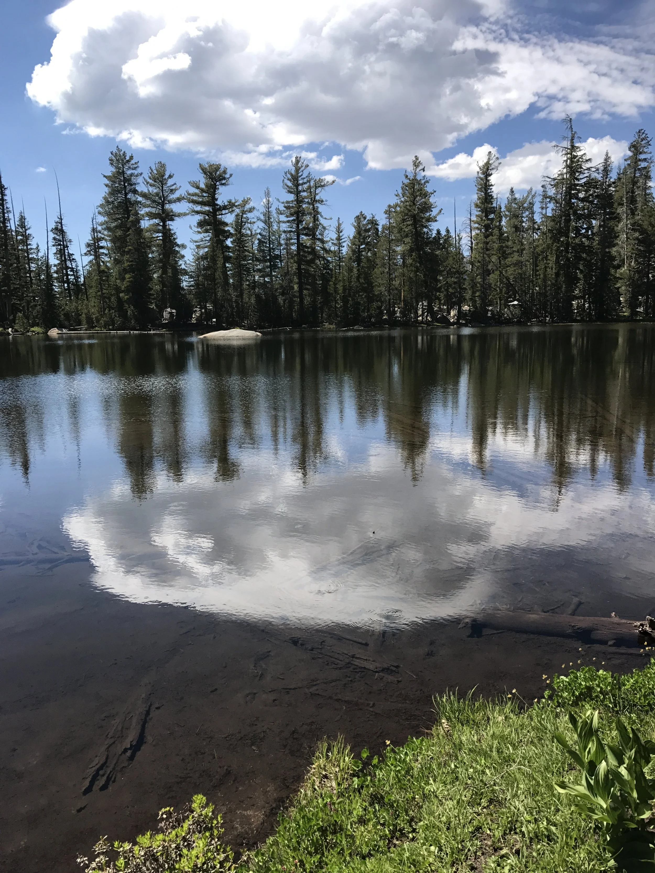 There is also a seasonal pond during this section of trail which is a great spot to stop and rest.