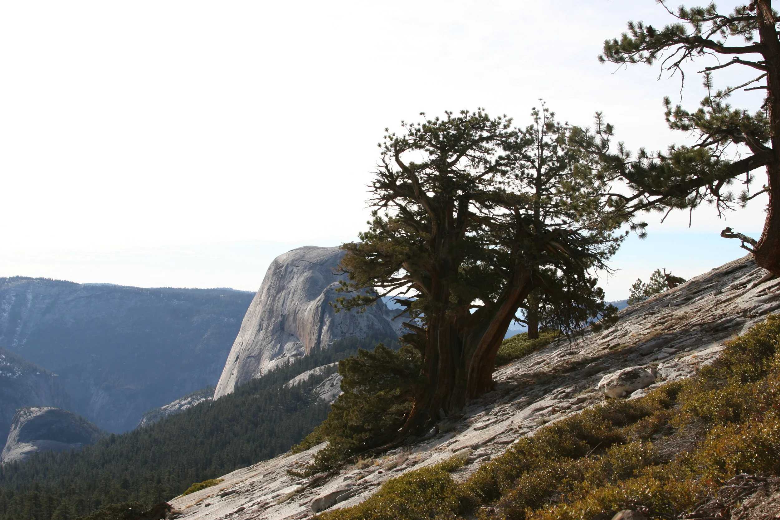 Past Little Yosemite Valley, the trail heads up a series of switchbacks before producing great western views of Half Dome