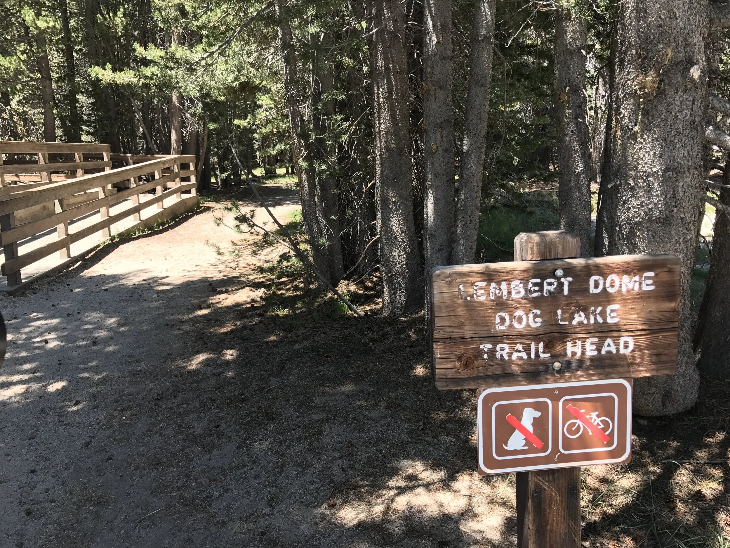 Close to Tuolomne Meadows, the Lembert Dome trail provides a number of great views of that section of Yosemite.