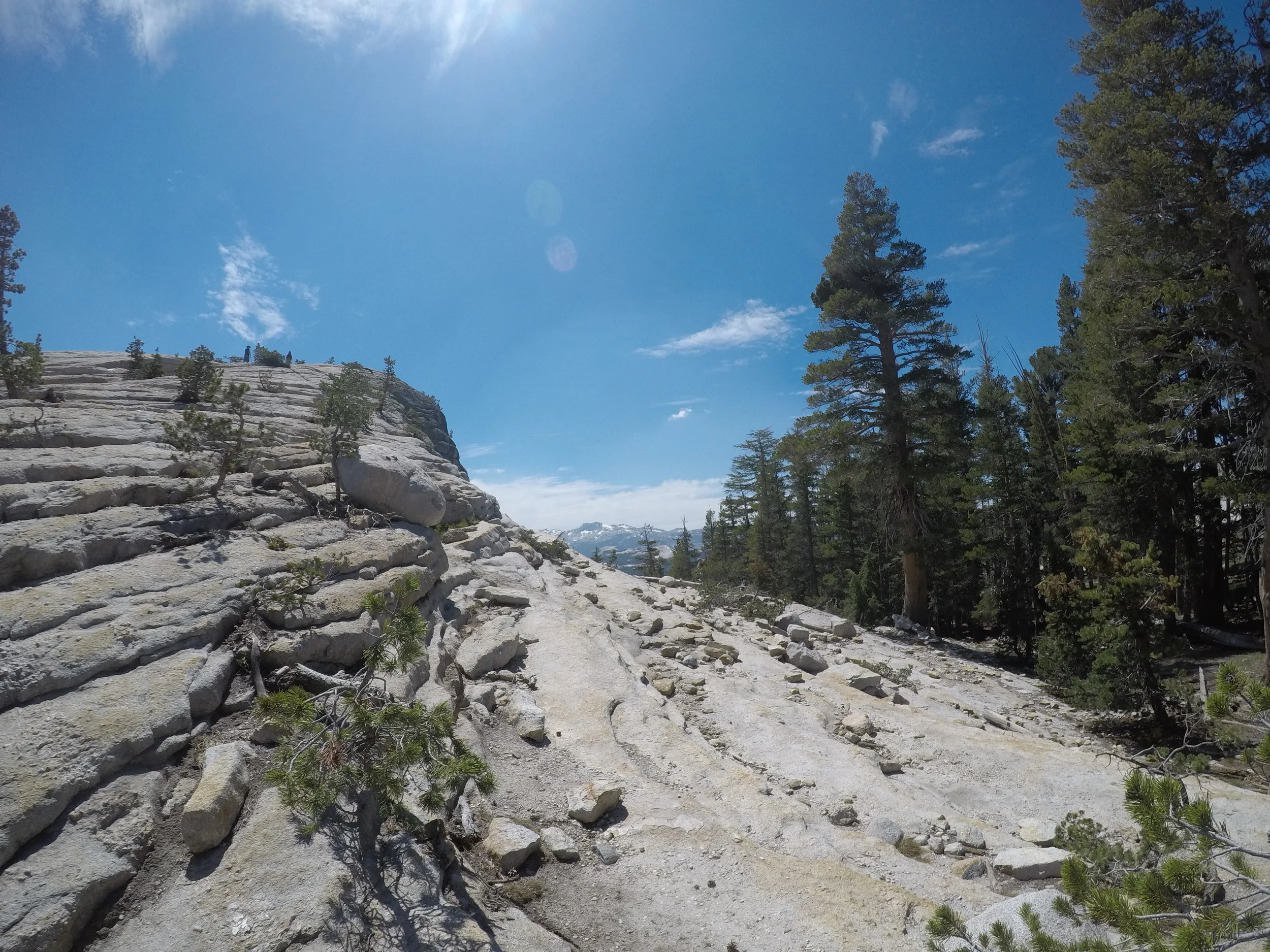 Once one clears the treeline on the trail, there are plenty of fantastic views to be found.