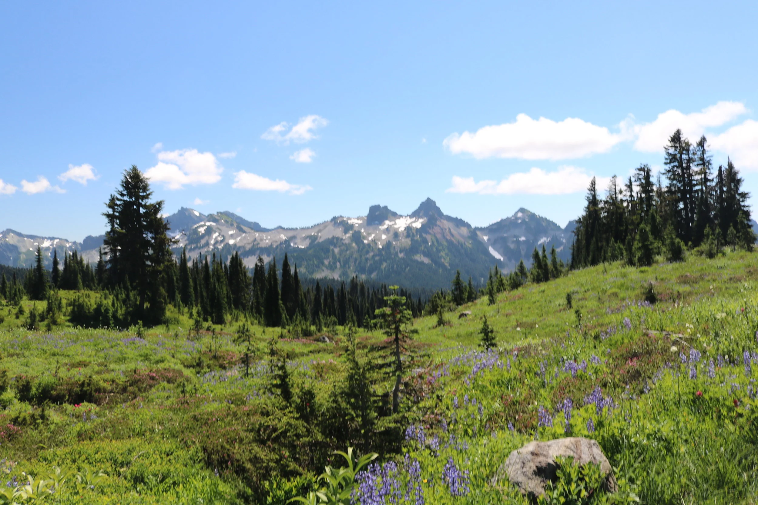 Mount Rainier National Park has great alpine views, and great alpine meadows.