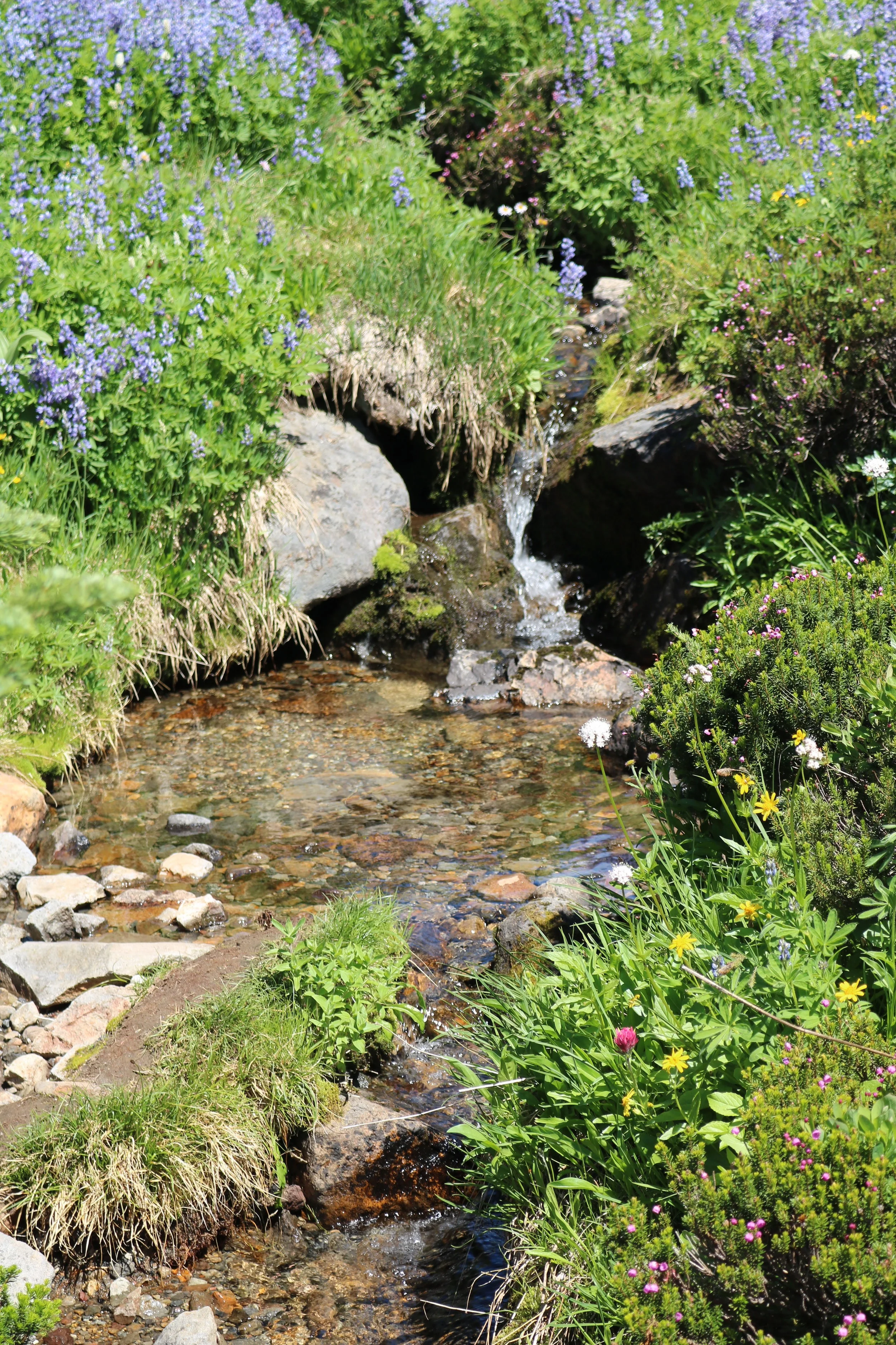 Depending on the season, one can also view seasonal waterfalls along the trail