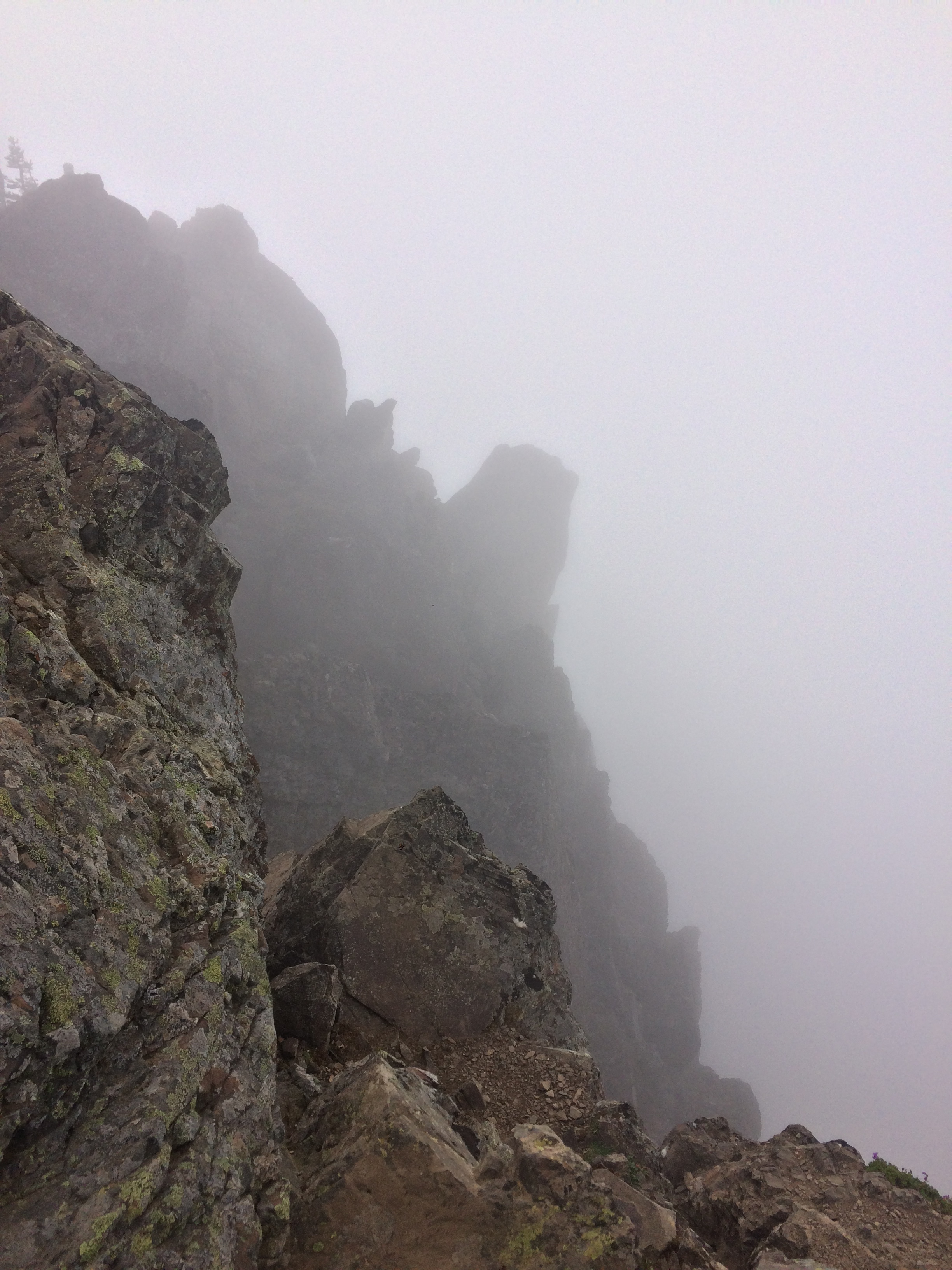 On a clear day, one has perfect 360 degree views from the summit of Ellinor, but on a cloudy day, one can only see the sharp drop-offs near the summit block.
