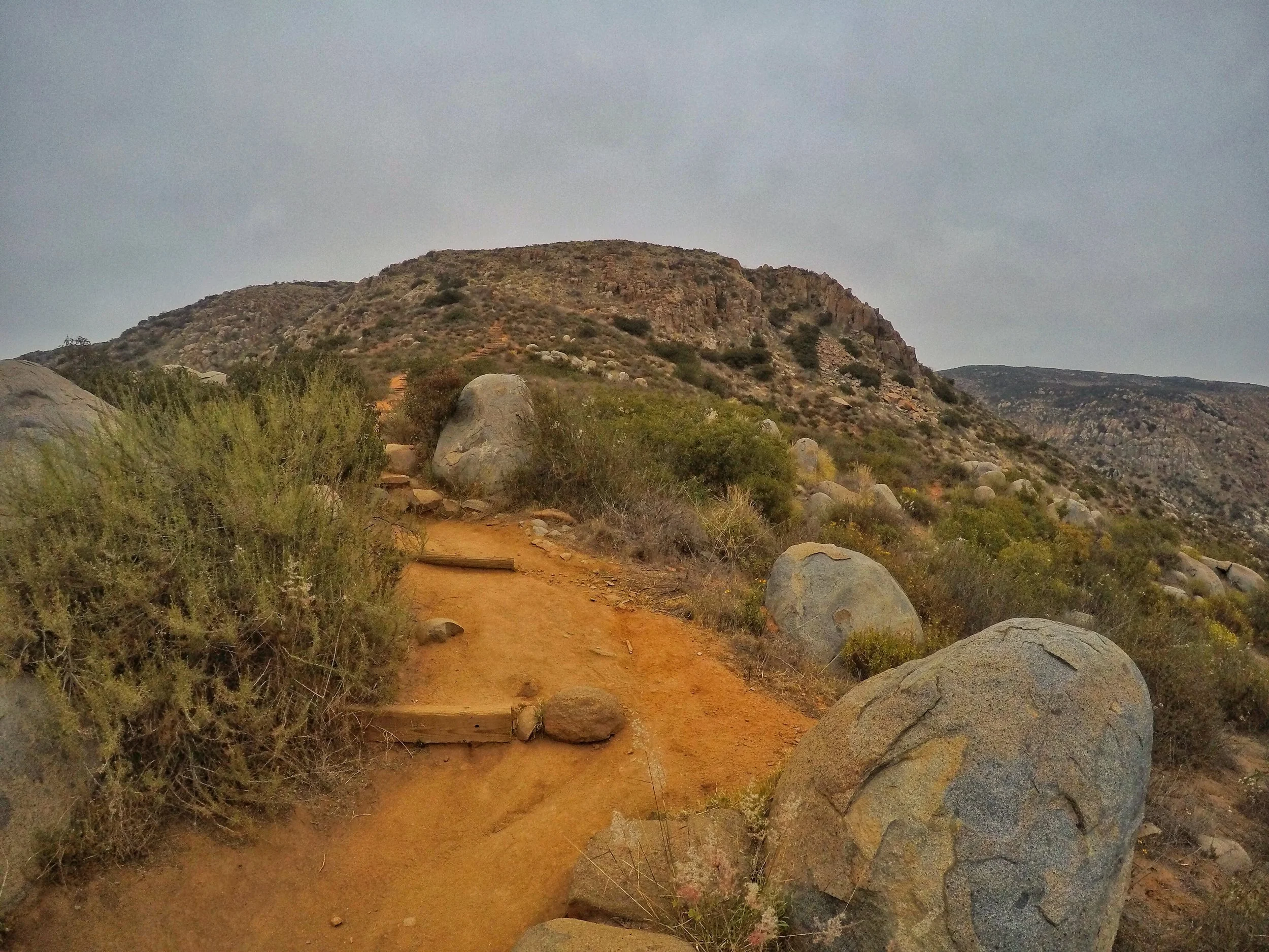 Once out of Suycott Wash, however, the trail ascends, before reaching a very steep section with wooden "steps".