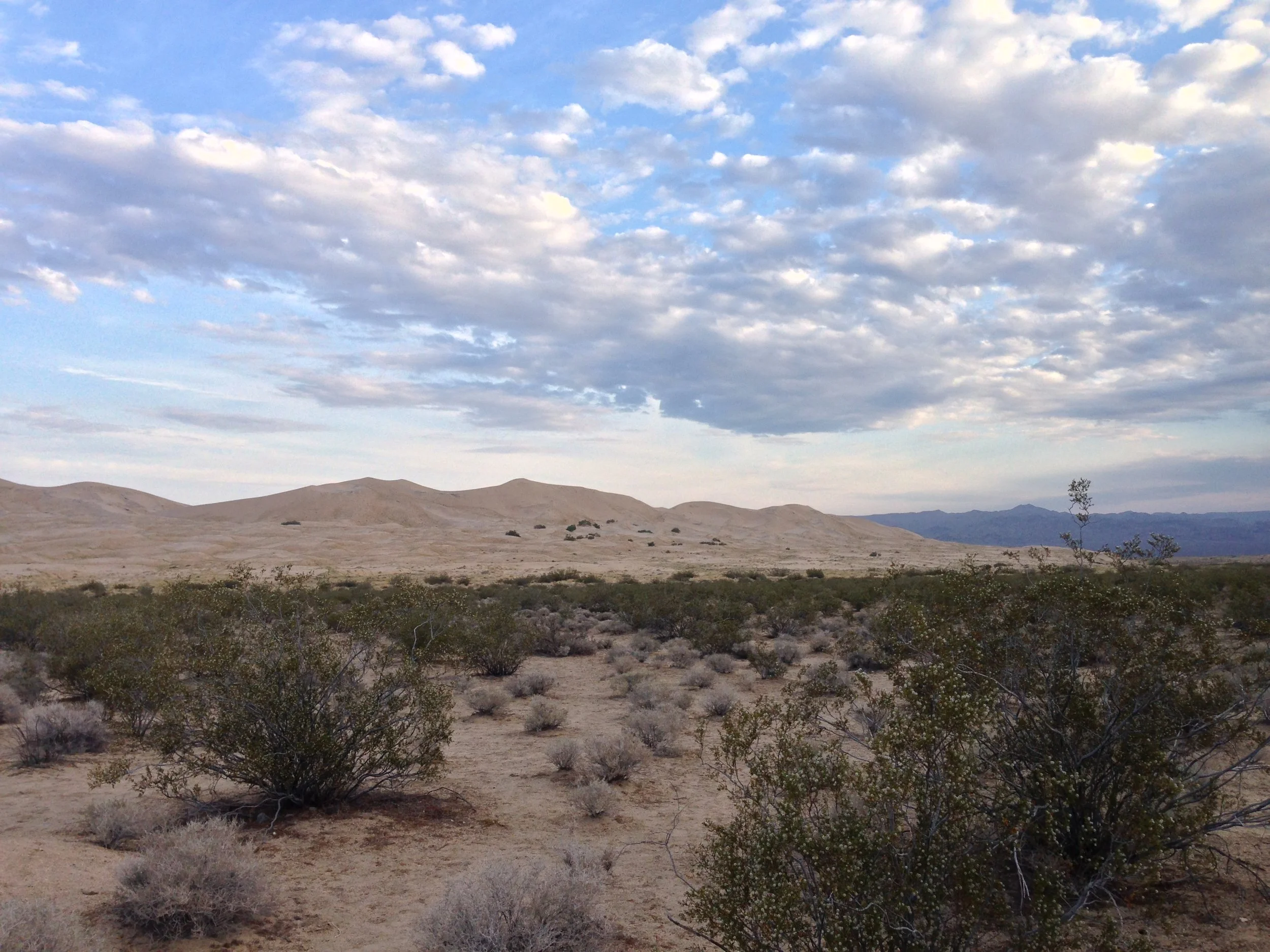 Kelso Dunes