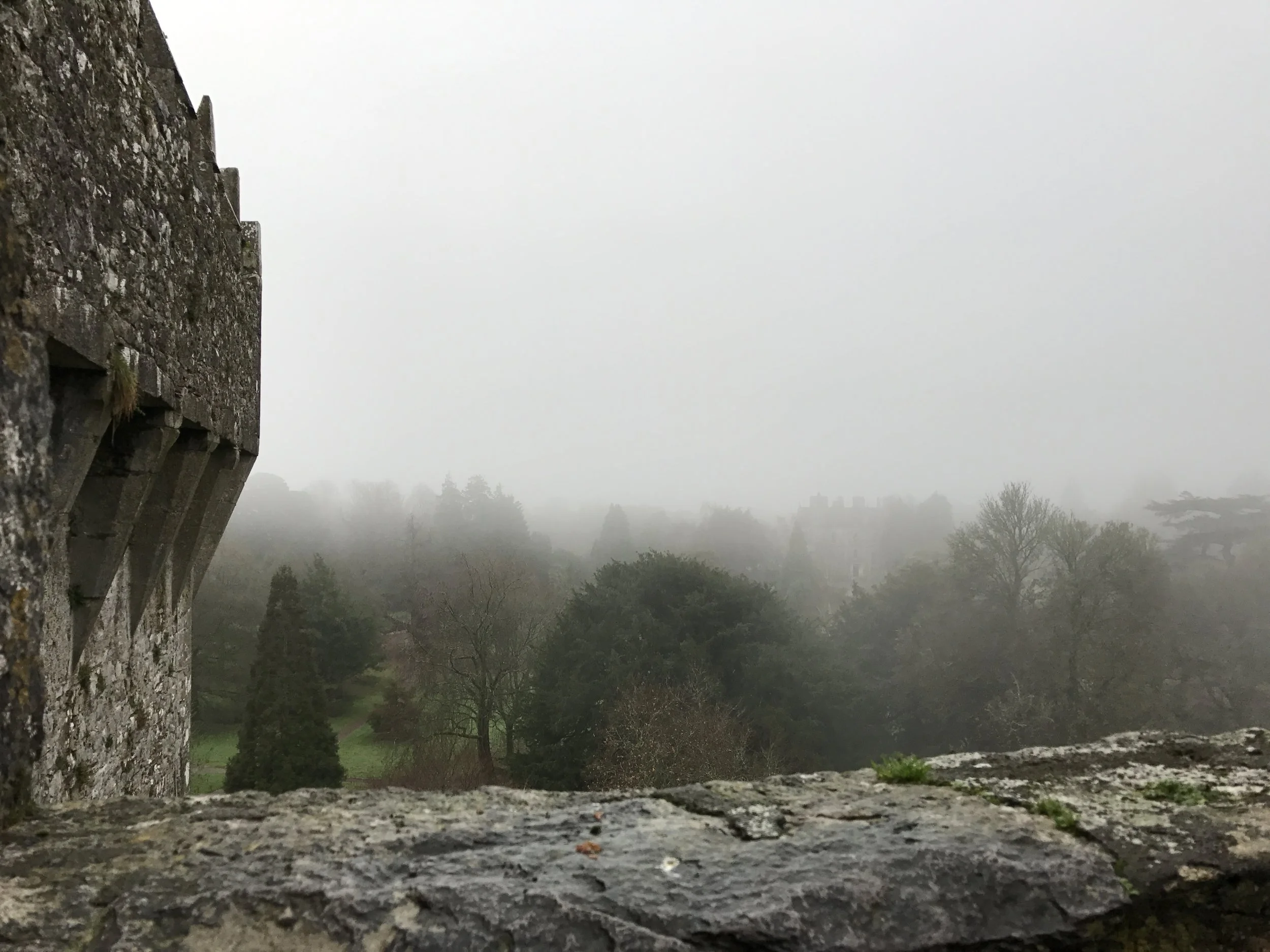 Blarney Stone and Blarney Castle 
