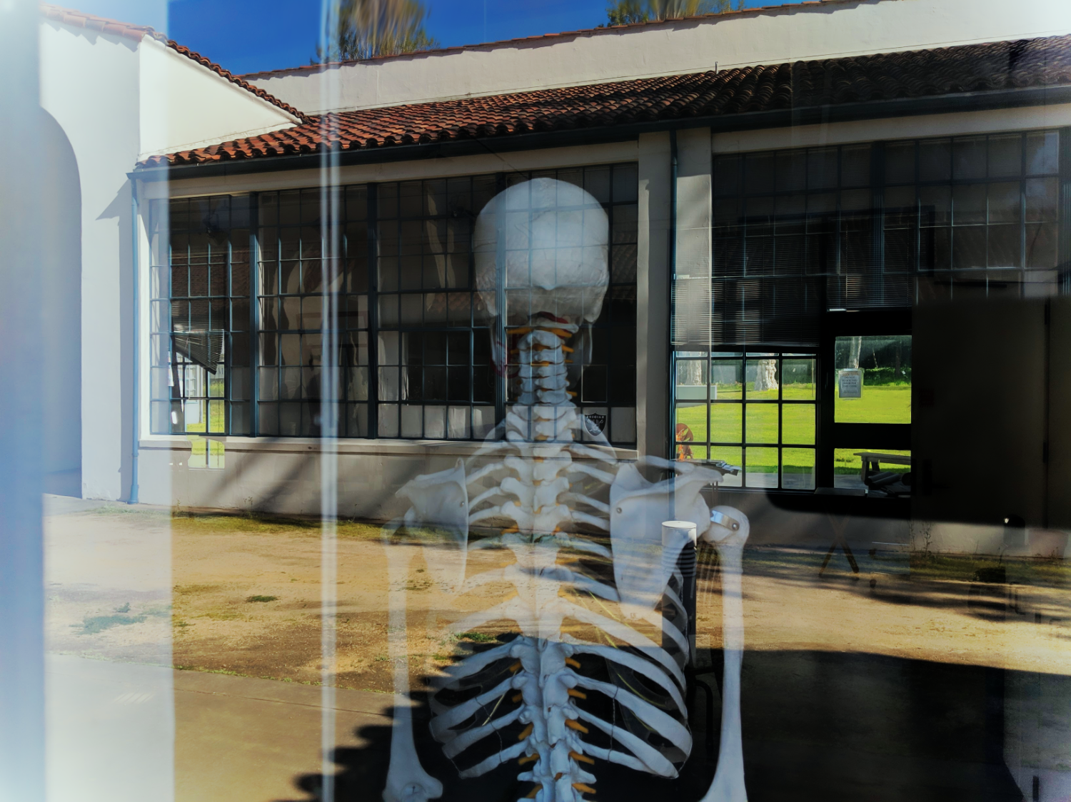 Existential reflection