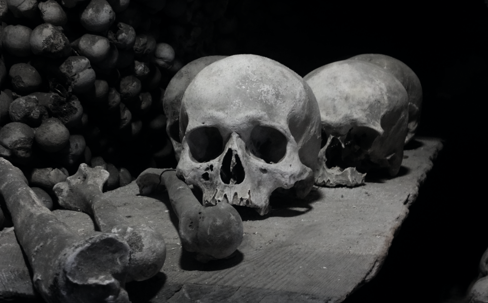 A shelf of skulls in Sedlec Ossuary