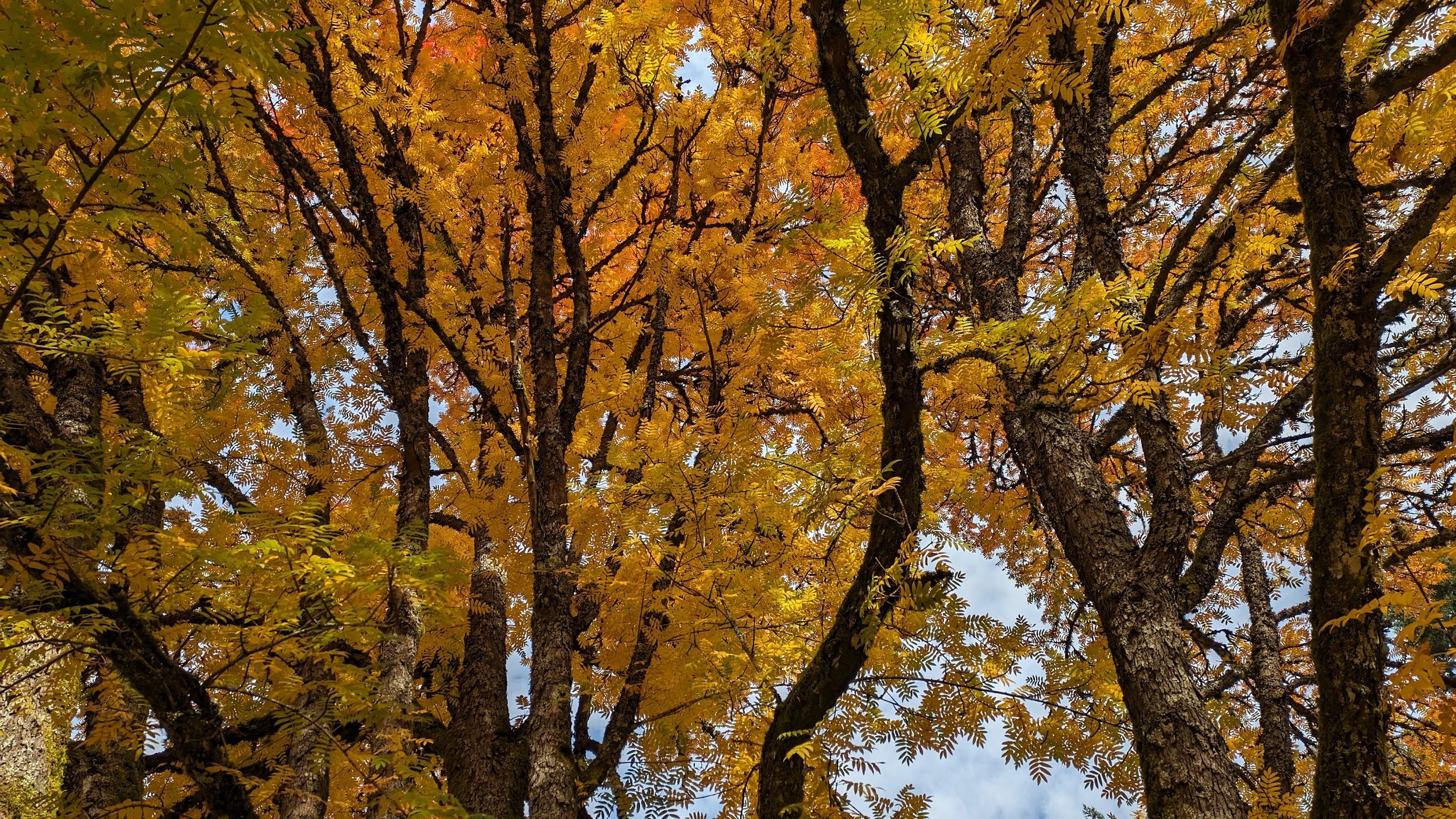 PXL_20231118_192357556.jpg