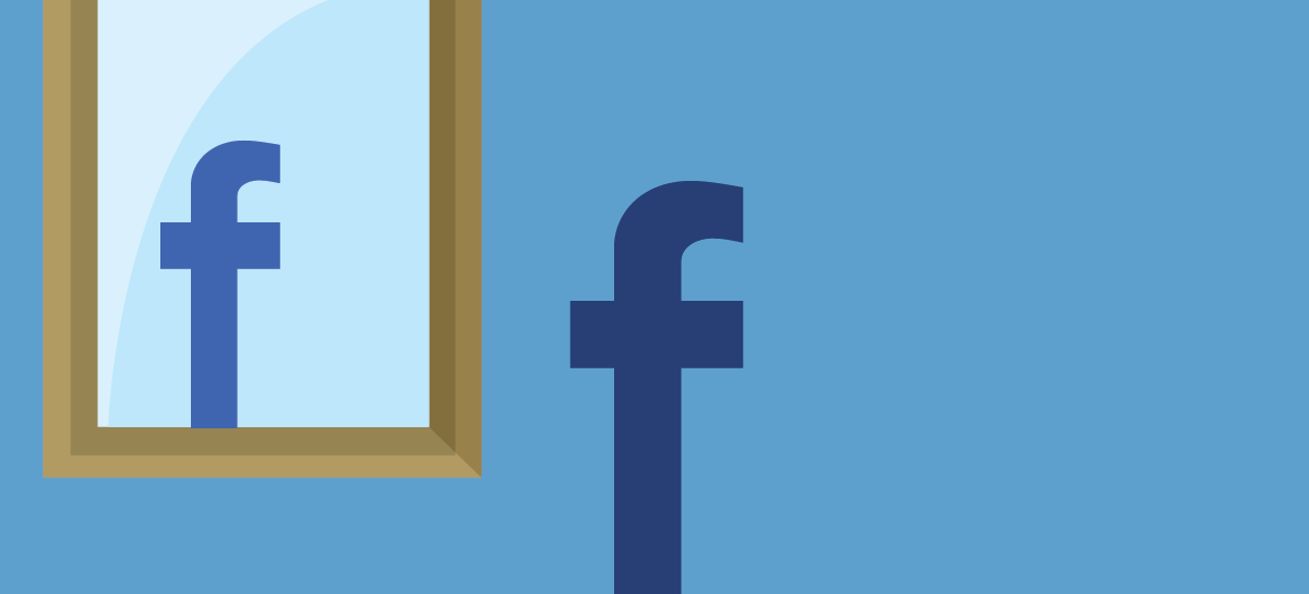 fb_mirror_horiz.png