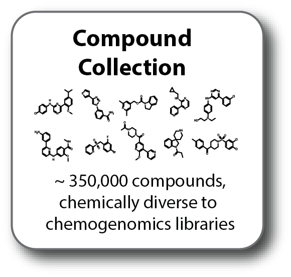 Chemical Libraries@4x.png
