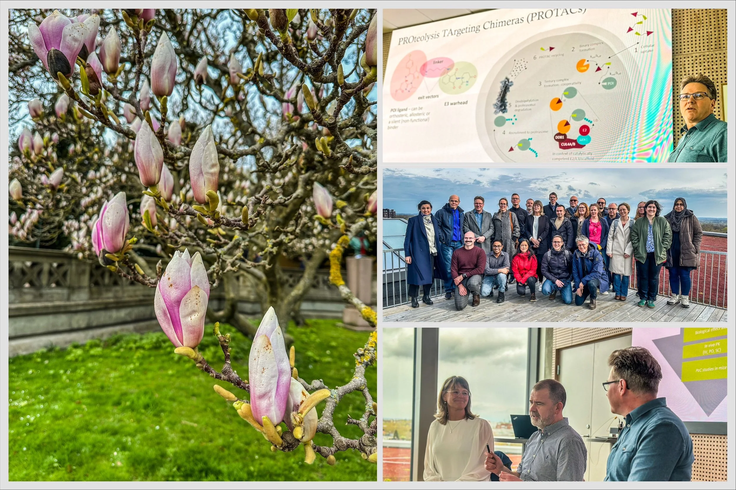 CBCS off-site meeting in Lund